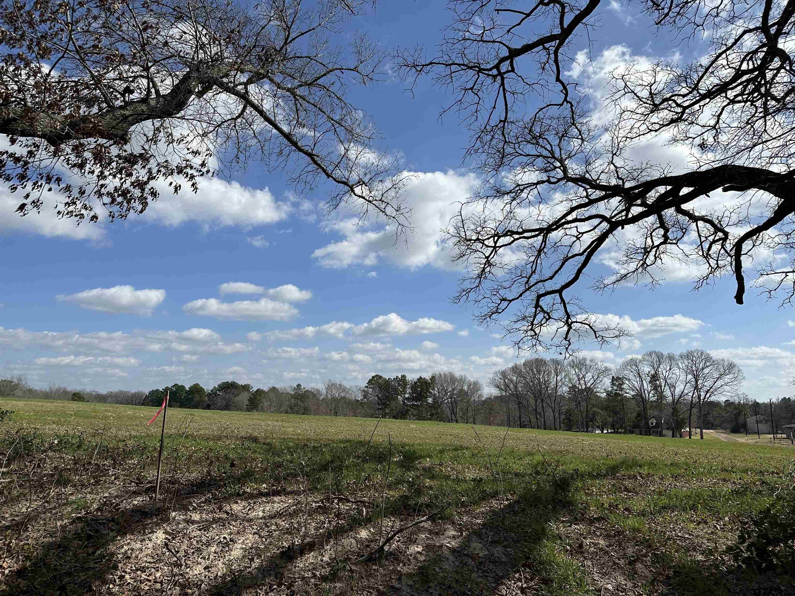 TBD LOT 2 COUNTY ROAD 401, Henderson, Texas 75654, ,Rural Acreage,For Sale,COUNTY ROAD 401,24002501