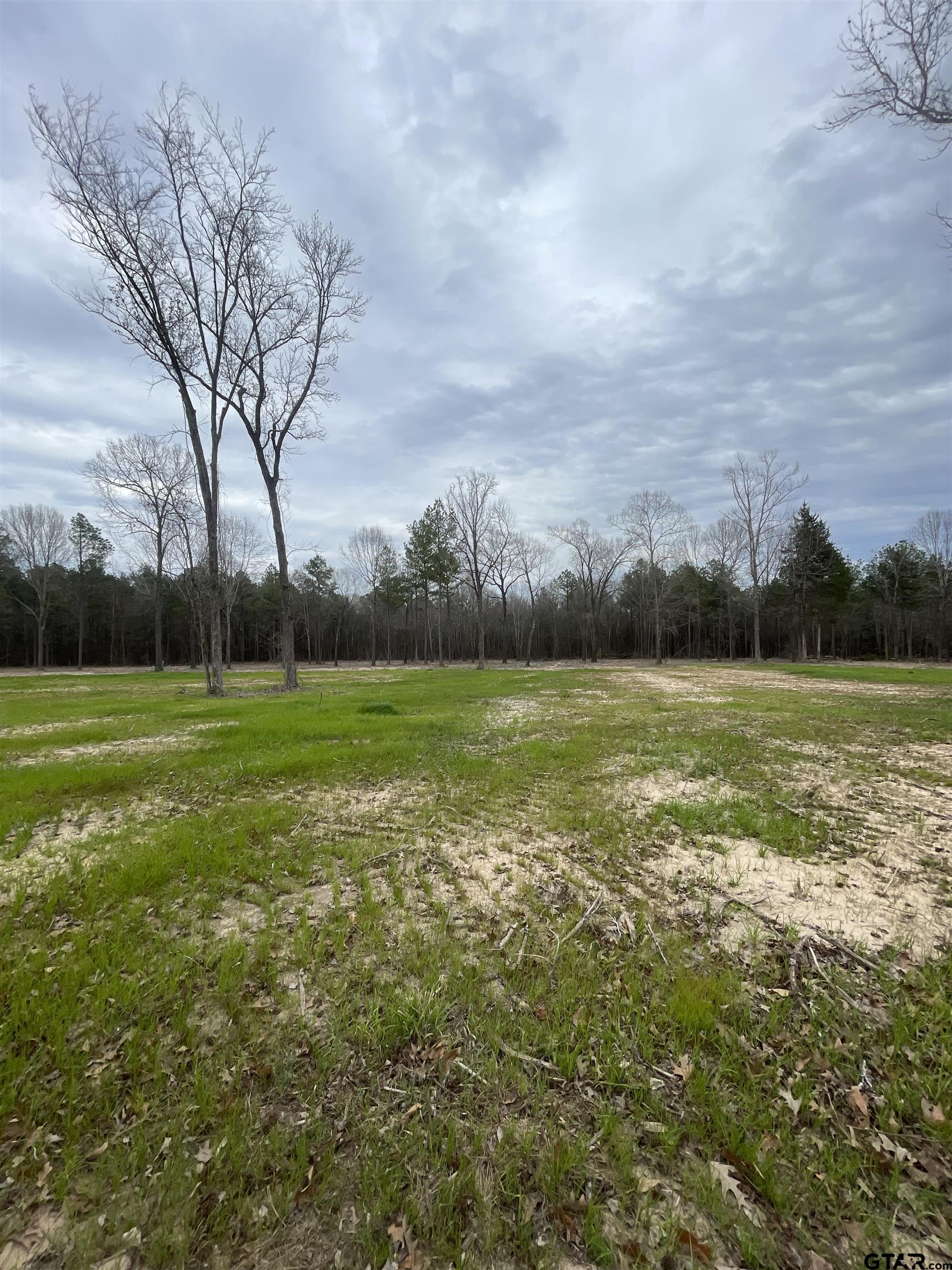 10700 County Road 391, Tyler, Texas 75706, ,Rural Acreage,For Sale,County Road 391,24002742