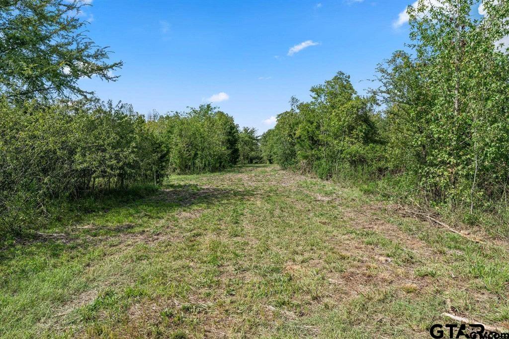 Lot 1 Hwy 271, Mt Pleasant, Texas 75455, ,Residential,For Sale,Hwy 271,24003219