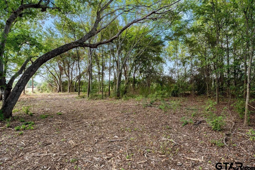 Lot 1 Hwy 271, Mt Pleasant, Texas 75455, ,Residential,For Sale,Hwy 271,24003219
