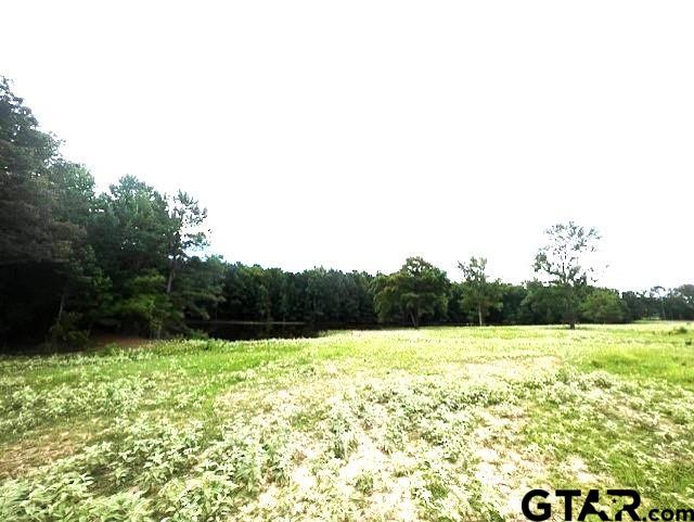 7390 Hwy 323, Overton, Texas 75684, ,Rural Acreage,For Sale,Hwy 323,24003257