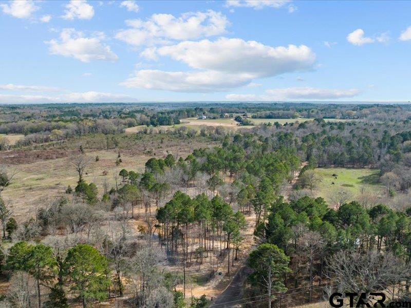 Lot 2 County Road 2540, Mineola, Texas 75773, ,Residential,For Sale,County Road 2540,24003475