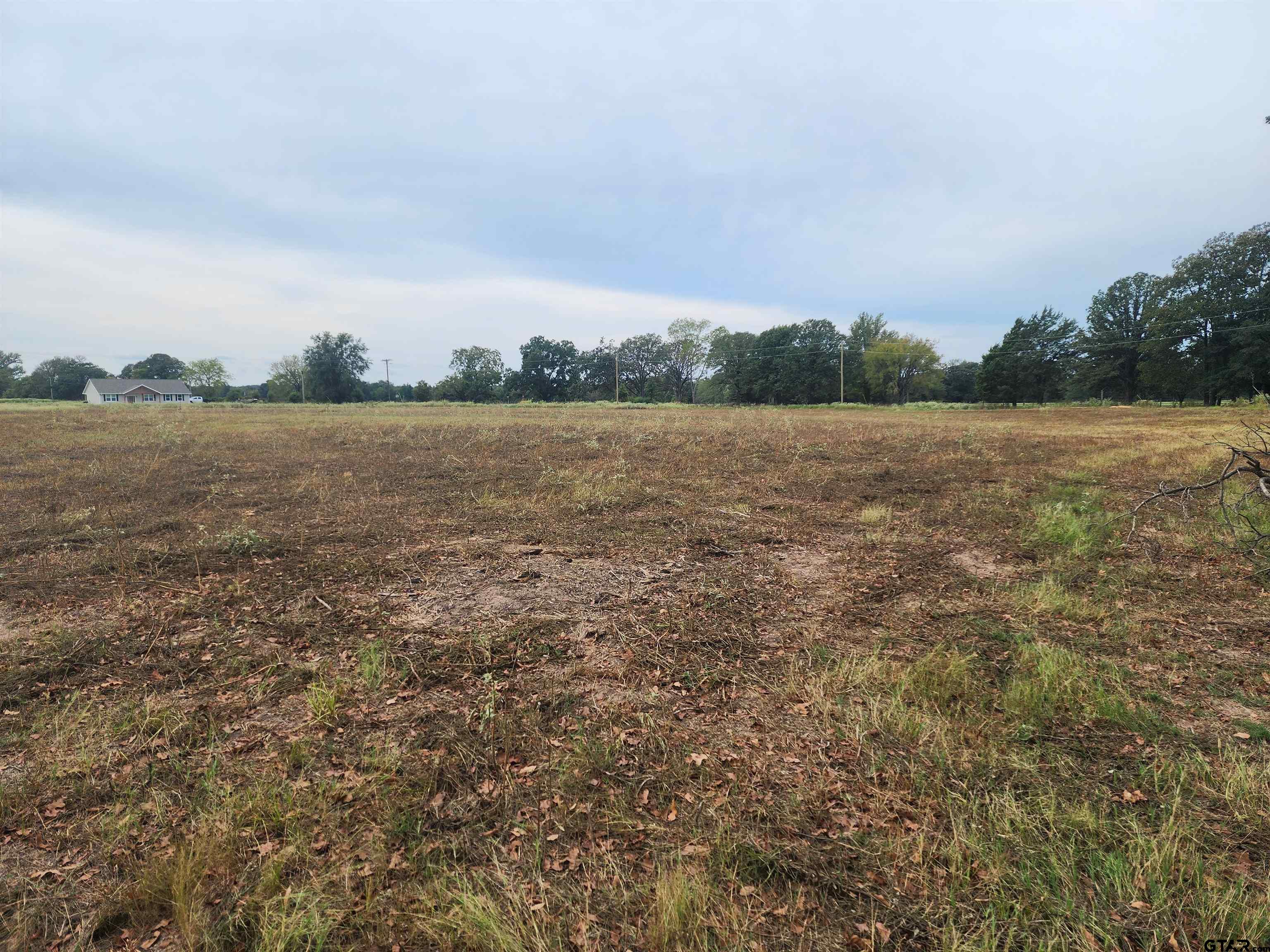 TBD CR 3105 Lot#6, Pittsburg, Texas 75686, ,Residential,For Sale,CR 3105 Lot#6,24003560