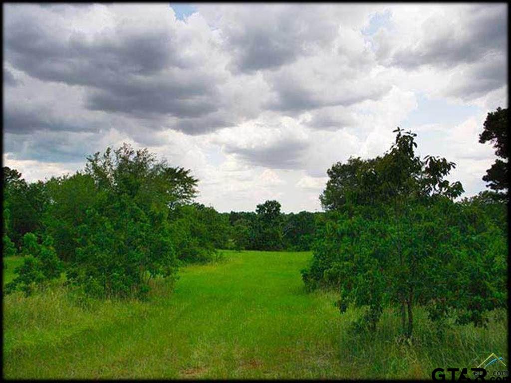 TBD County Road 445, Lindale, Texas 75771, ,Rural Acreage,For Sale,County Road 445,24003686