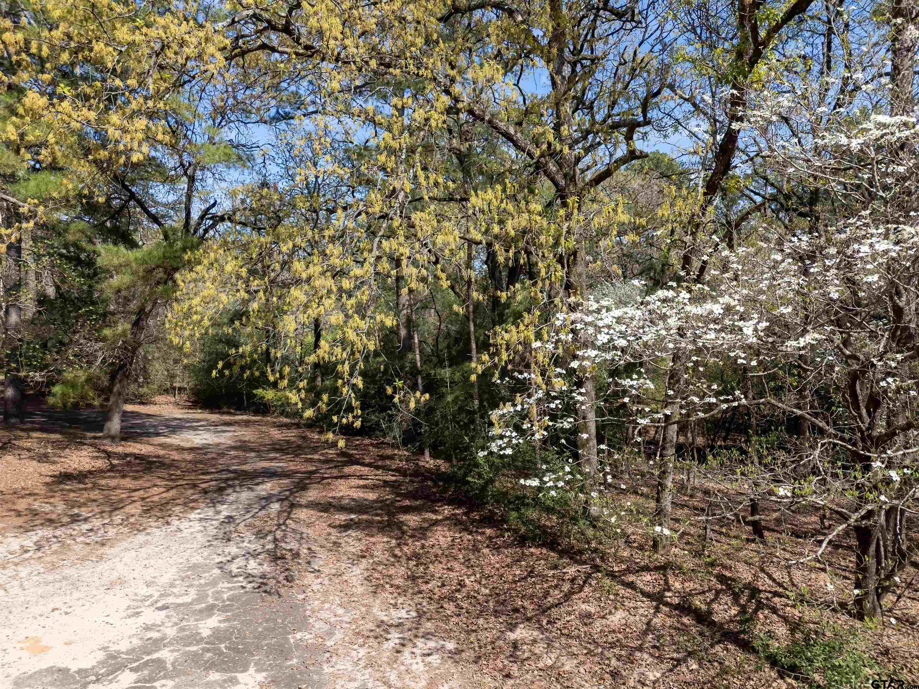 TBD Winding Knoll, Holly Lake Ranch, Texas 75765, ,Residential,For Sale,Winding Knoll,24004134
