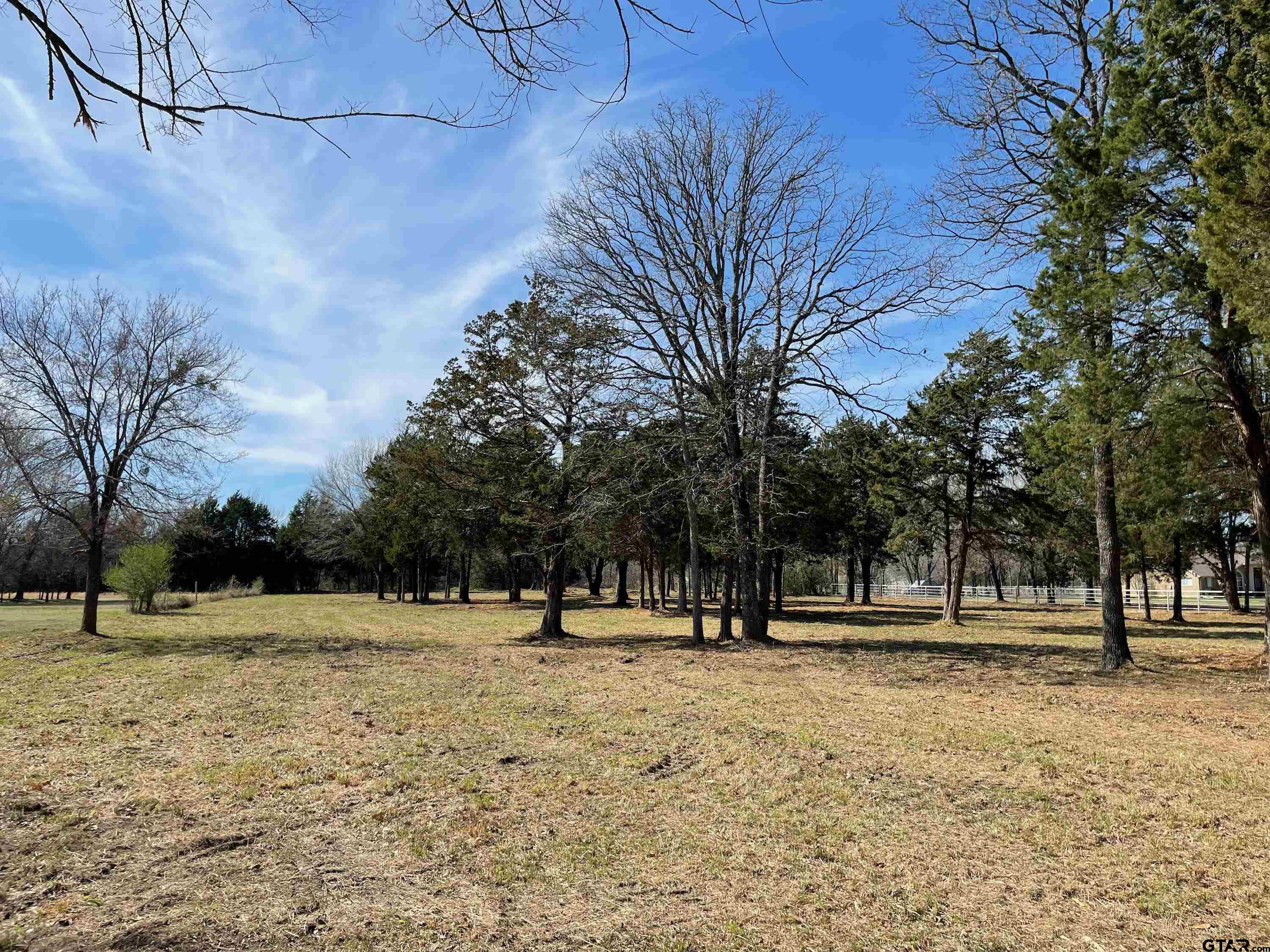 TBD RS County Road 1278, Emory, Texas 75440, ,Rural Acreage,For Sale,RS County Road 1278,24004221