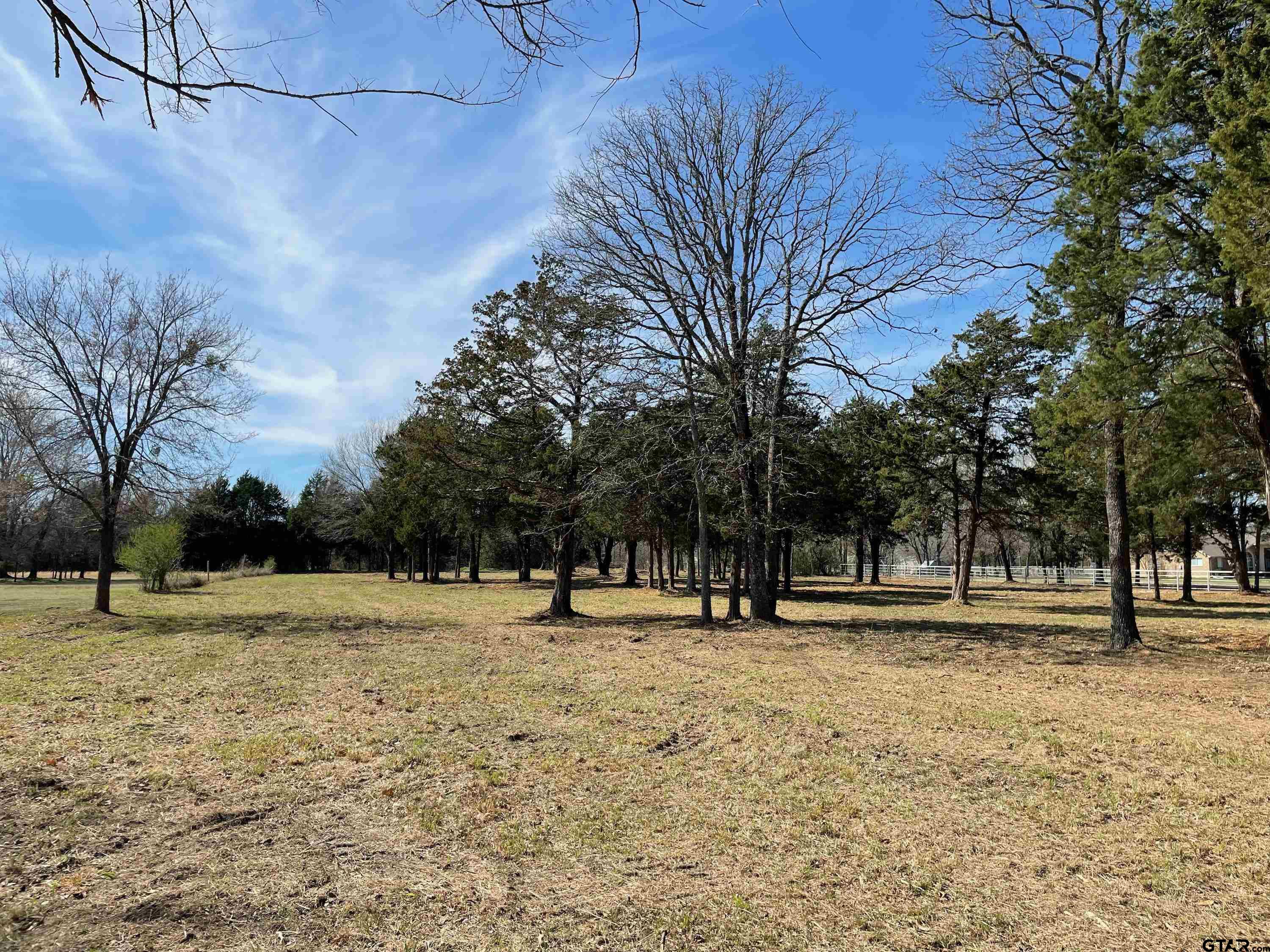 TBD RS County Road 1278, Emory, Texas 75440, ,Rural Acreage,For Sale,RS County Road 1278,24004221