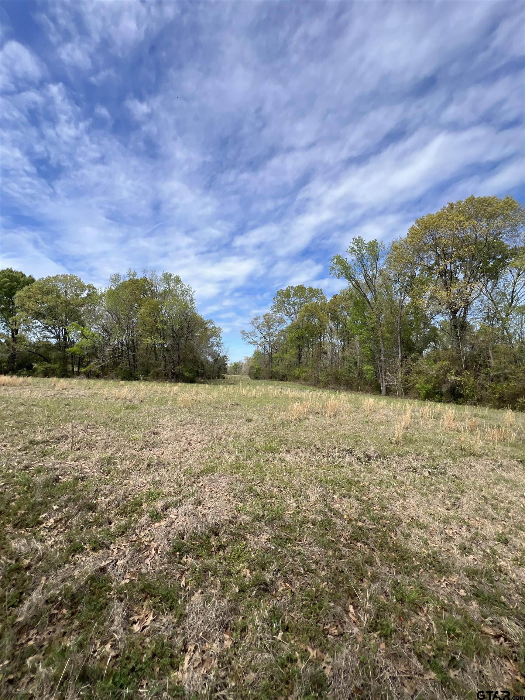 TBD COUNTY ROAD 490, Henderson, Texas 75652, ,Rural Acreage,For Sale,COUNTY ROAD 490,24004243