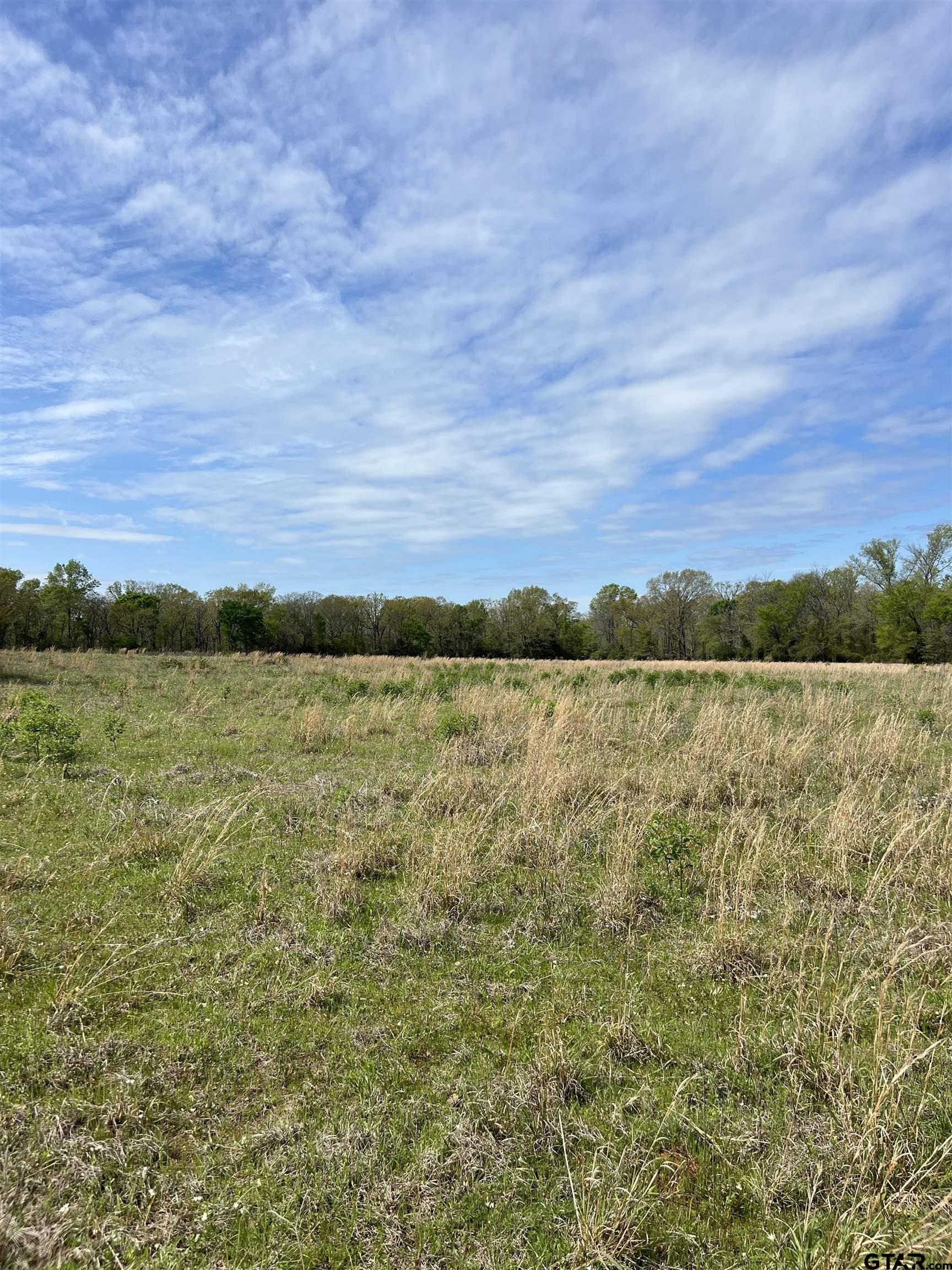 TBD COUNTY ROAD 490, Henderson, Texas 75652, ,Rural Acreage,For Sale,COUNTY ROAD 490,24004243