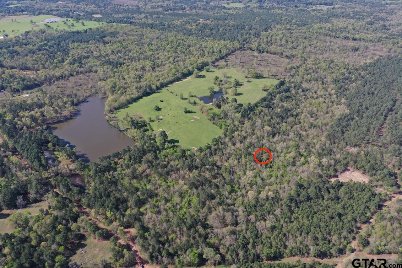TBD Aster Road (26.32 acres), Gilmer, Texas 75644, ,Rural Acreage,For Sale,Aster Road (26.32 acres),24004345