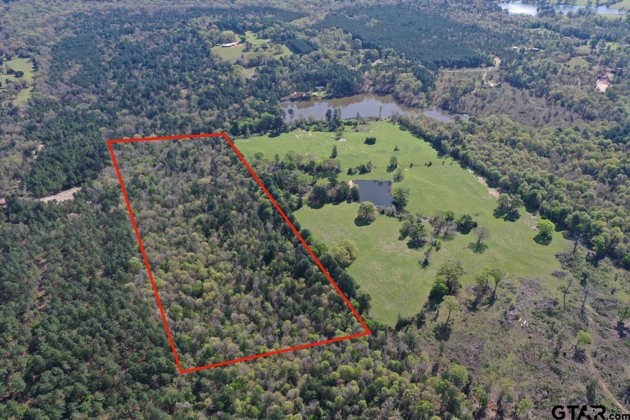 TBD Aster Road (26.32 acres), Gilmer, Texas 75644, ,Rural Acreage,For Sale,Aster Road (26.32 acres),24004345
