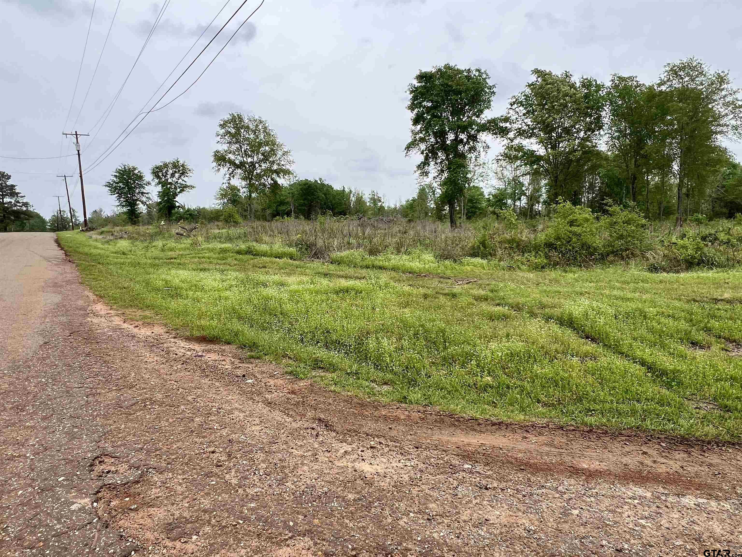 Tract 1 County Road 4146, Overton, Texas 75684, ,Rural Acreage,For Sale,County Road 4146,24004589