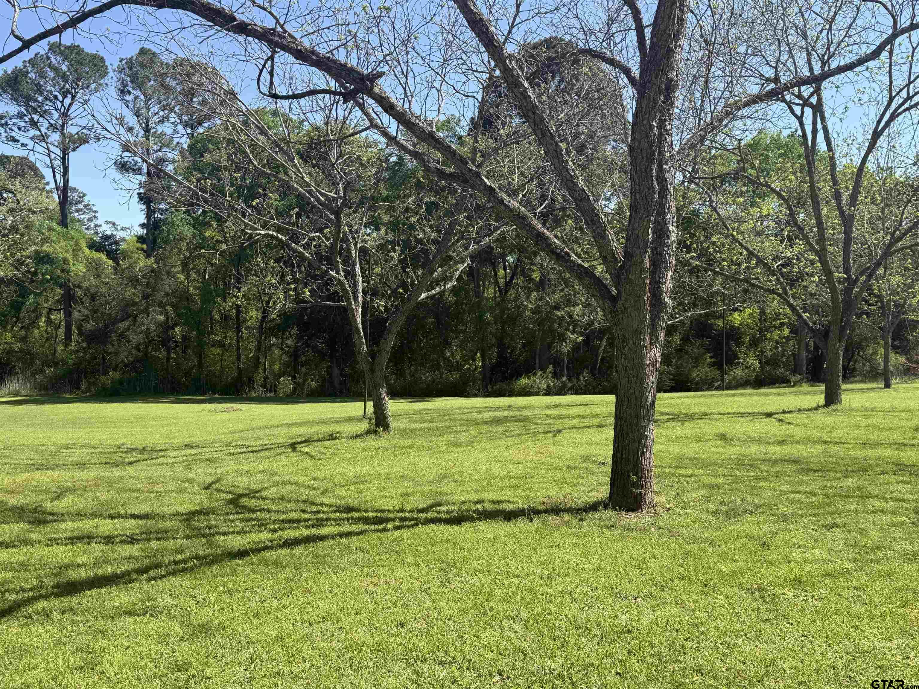 Lot 3 Pecan Gr. Pineda St., Jacksonville, Texas image 1