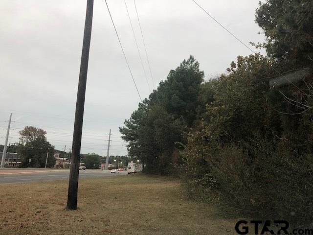 3819 Old Chandler Rd, Tyler, Texas 75702, ,Land,For Sale,Old Chandler Rd,24005909