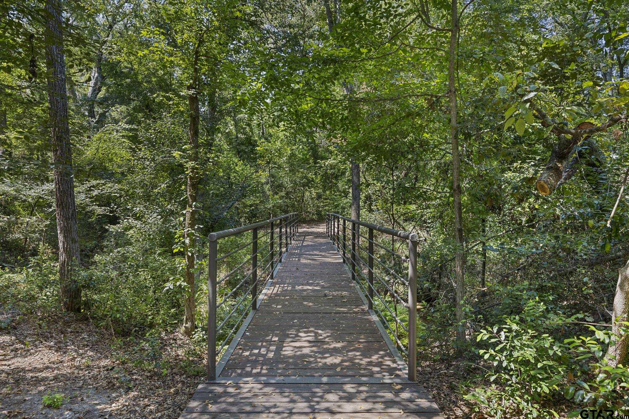 10694 County Road 133, Flint, Texas image 40
