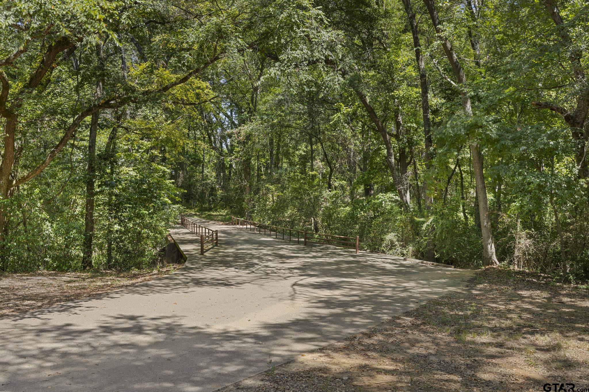 10694 County Road 133, Flint, Texas image 41