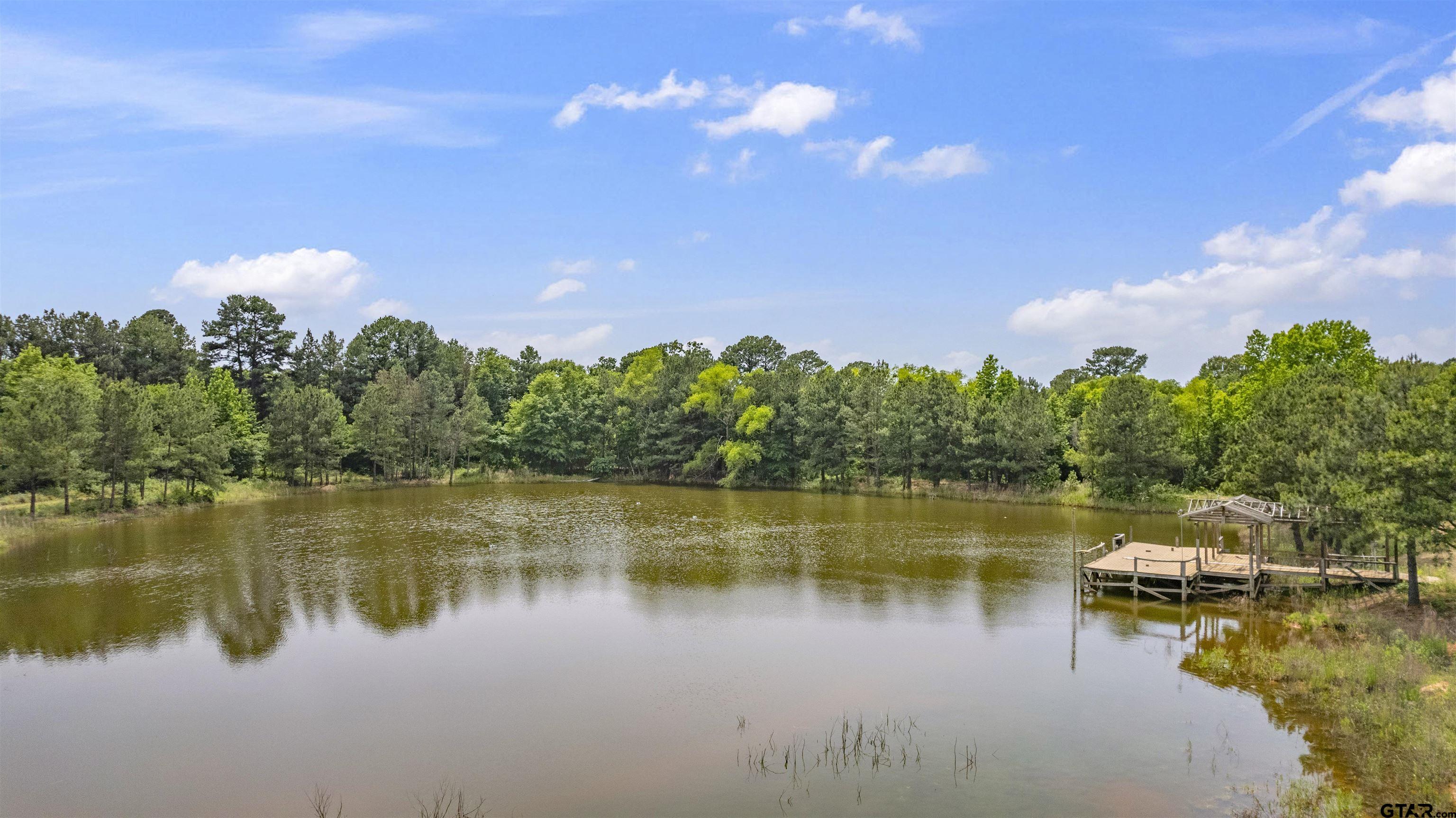 703 County Road 1124, Daingerfield, Texas image 35