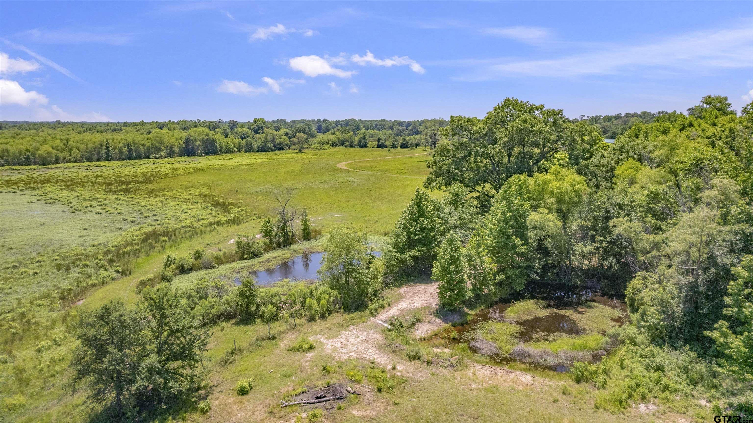 12250 Cr 3513, Brownsboro, Texas image 17