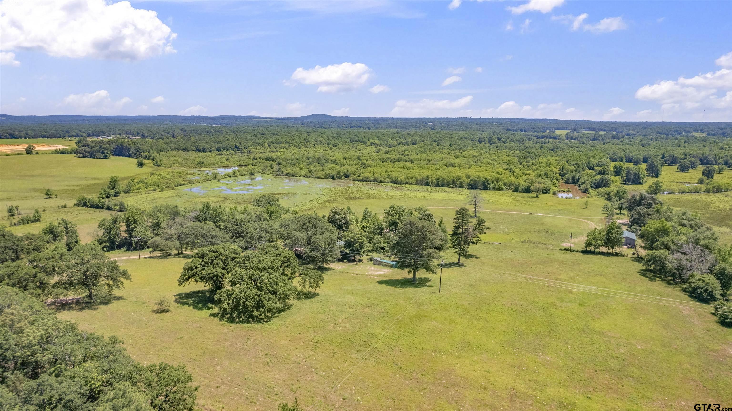 12250 Cr 3513, Brownsboro, Texas image 8