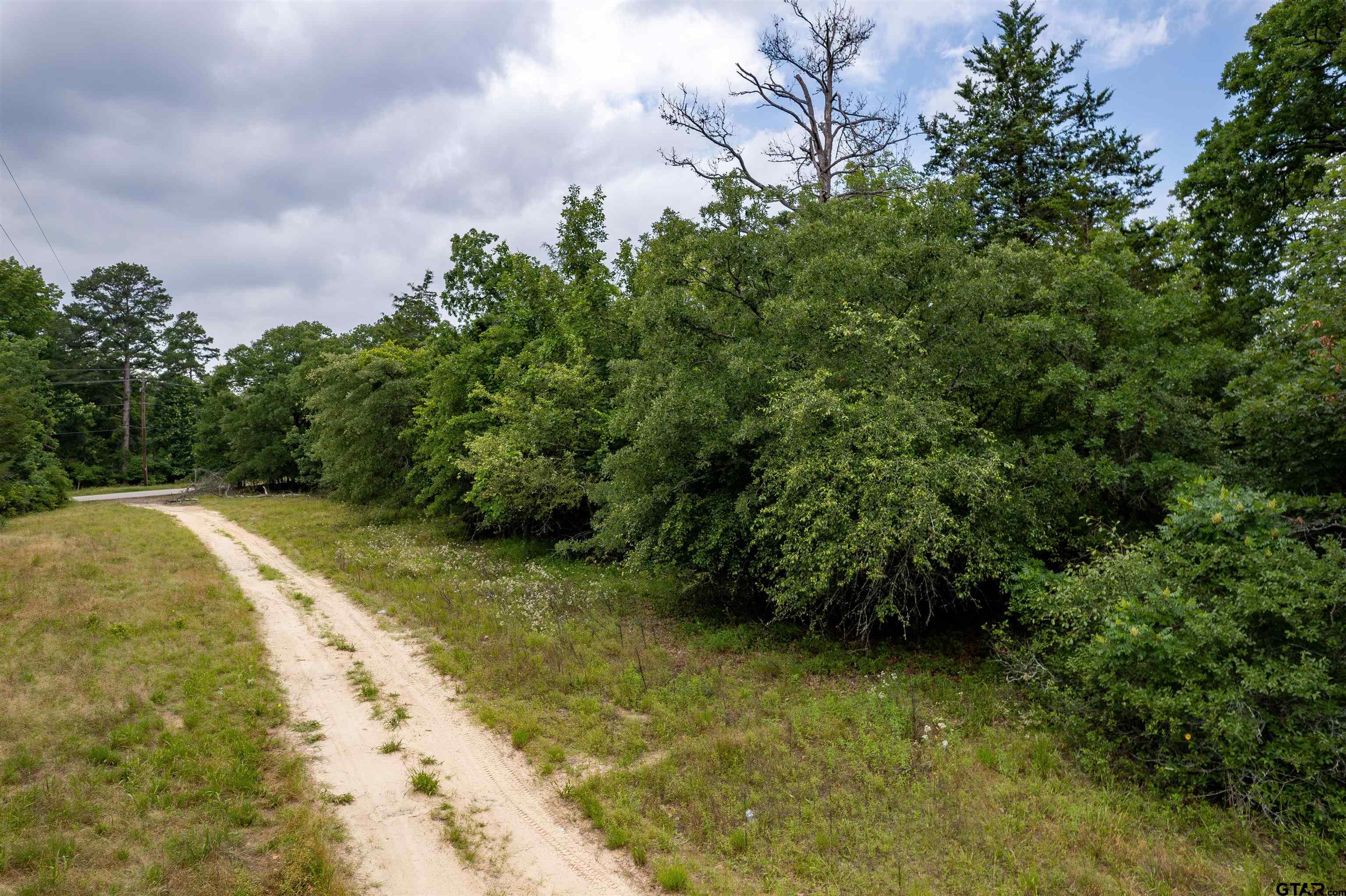 Lots 234748 Kings Country Blvd, Scroggins, Texas image 3