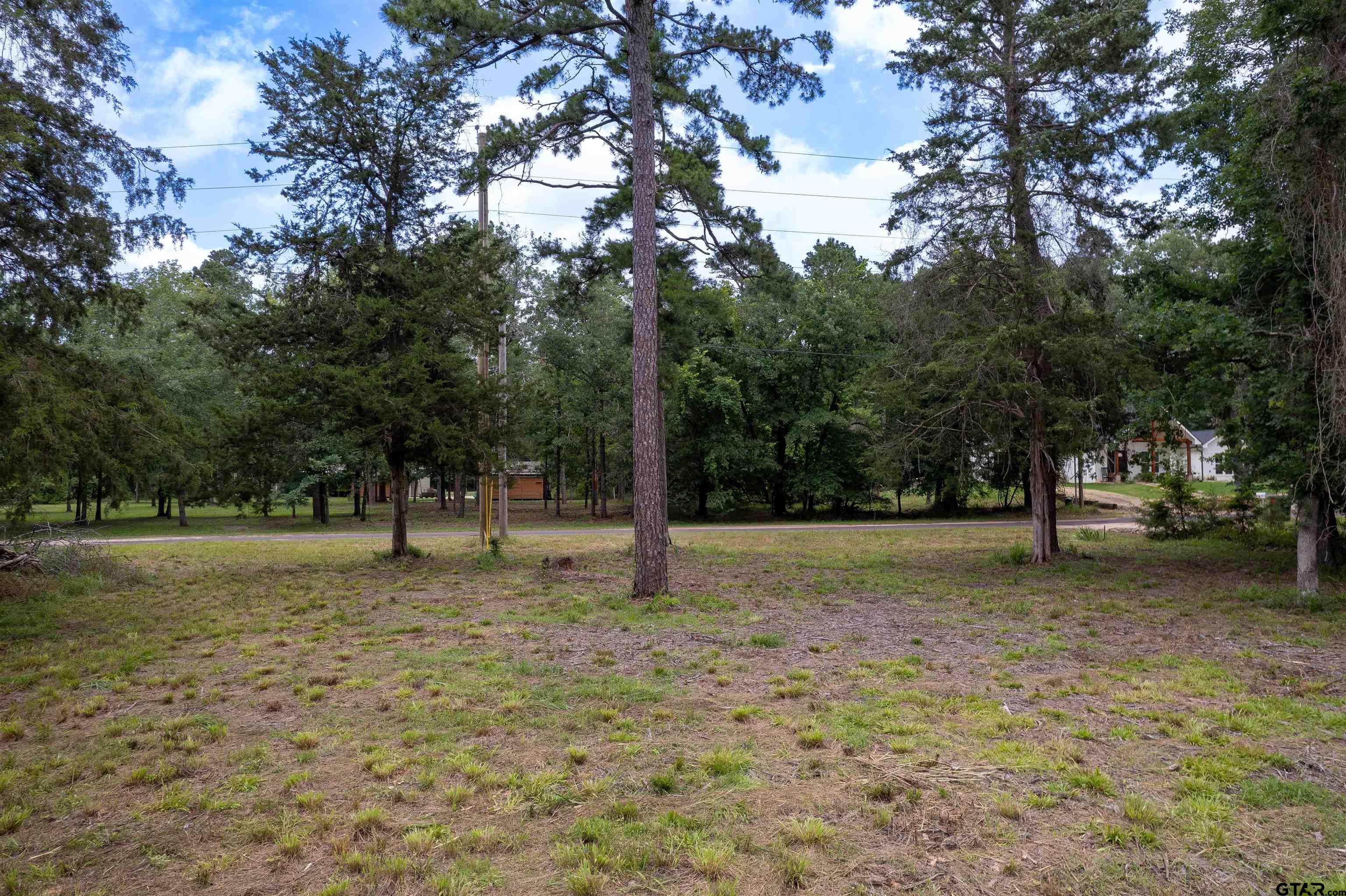 Lots 234748 Kings Country Blvd, Scroggins, Texas image 4