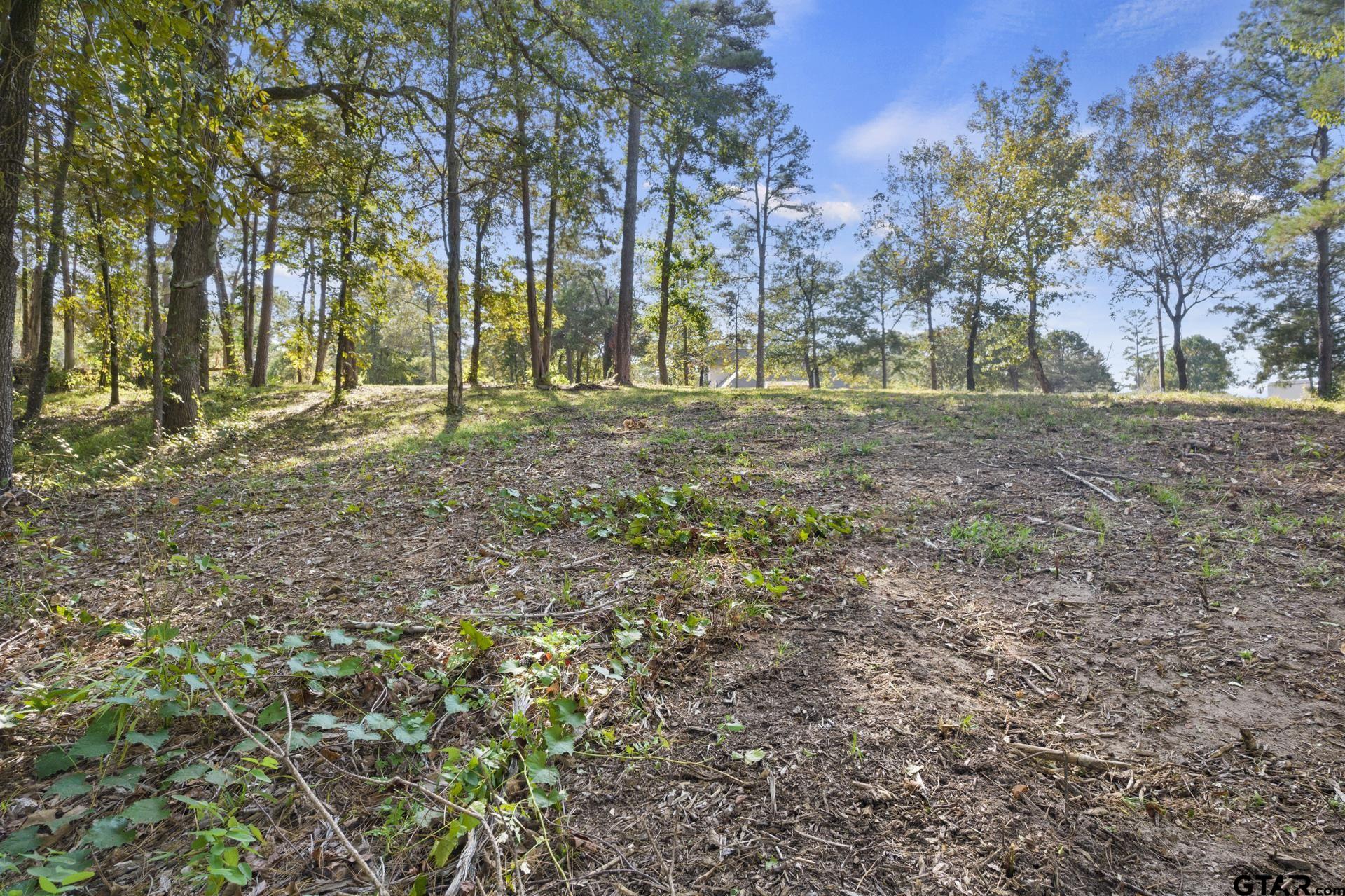TBD Charlya Drive, Scroggins, Texas image 14