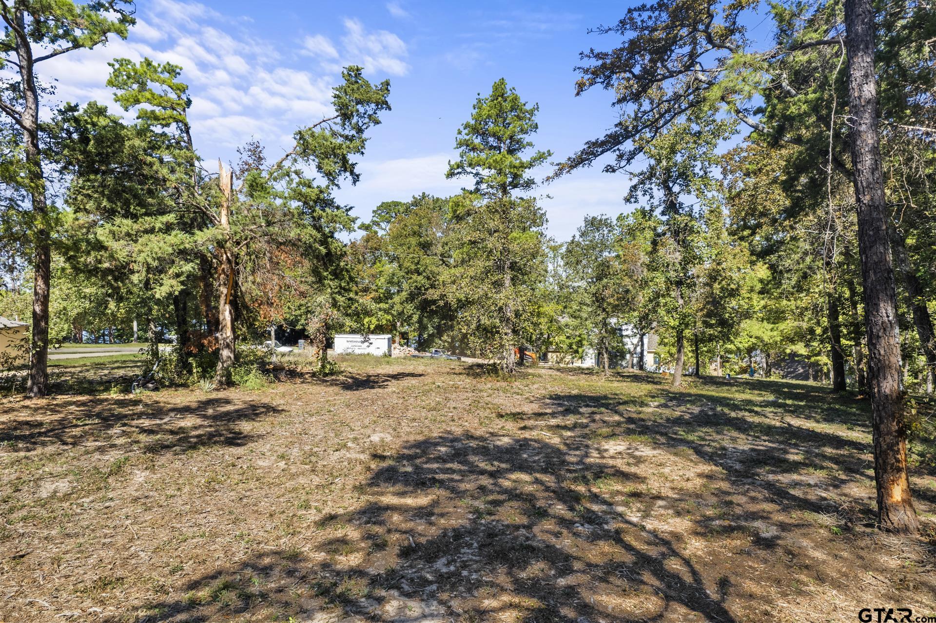 TBD Charlya Drive, Scroggins, Texas image 17