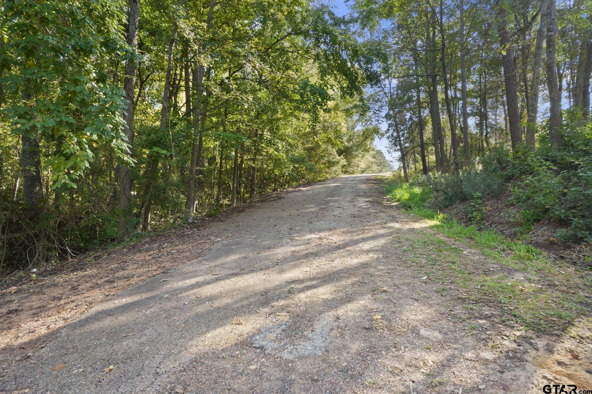 TBD Charlya Drive, Scroggins, Texas image 10