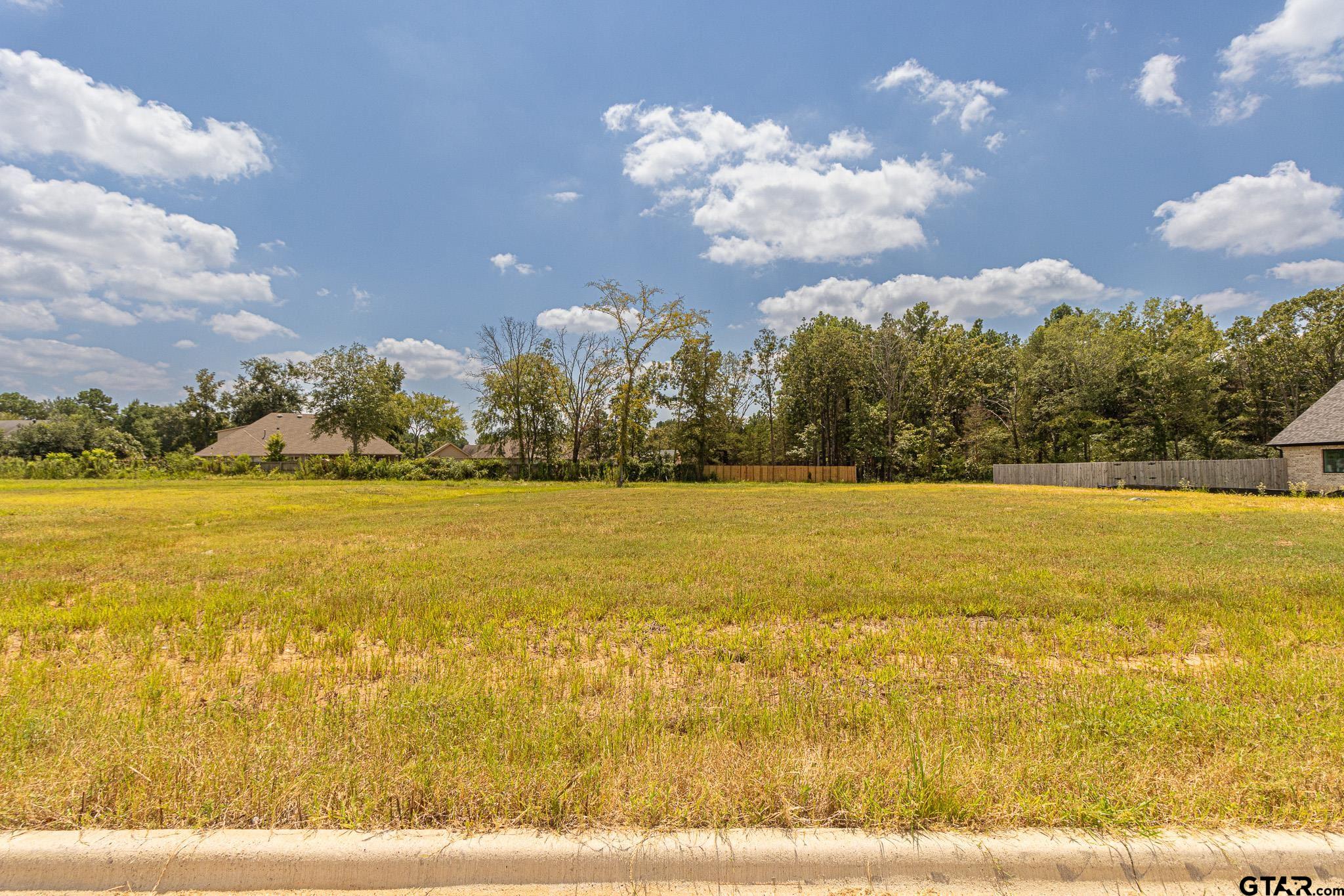 12270 Harlon Street, Flint, Texas image 1