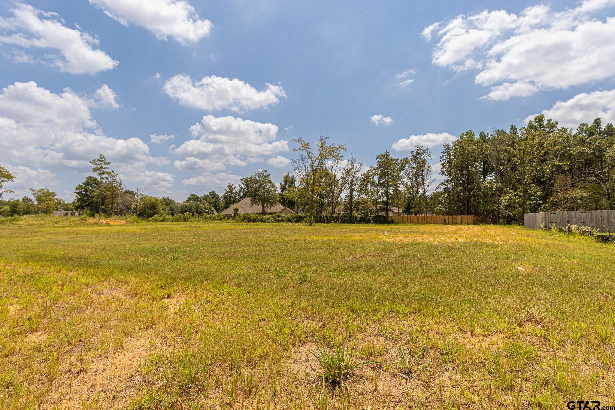 12270 Harlon Street, Flint, Texas image 3