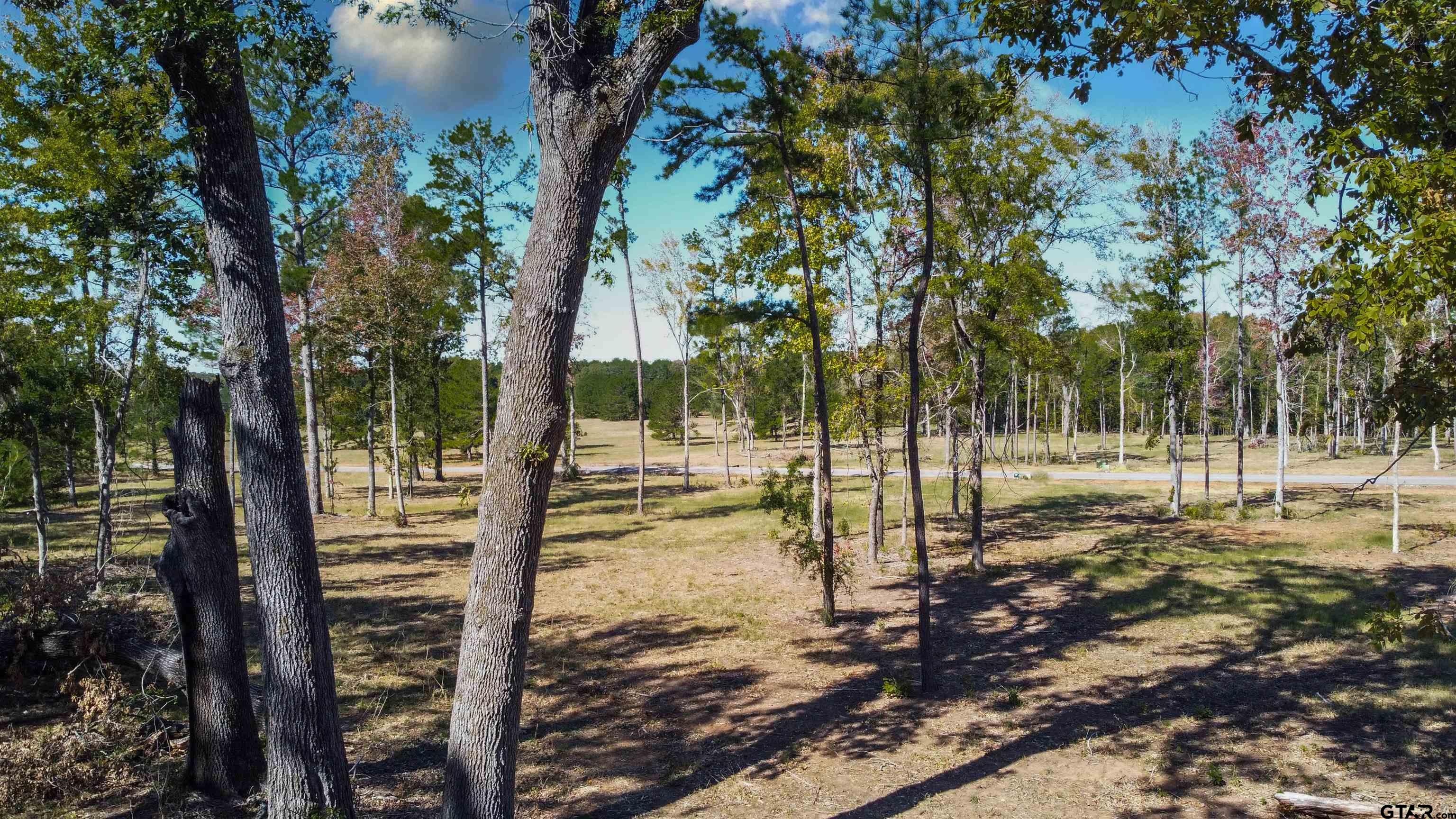 16077 Aniston Ln - (lot 12), Flint, Texas image 1