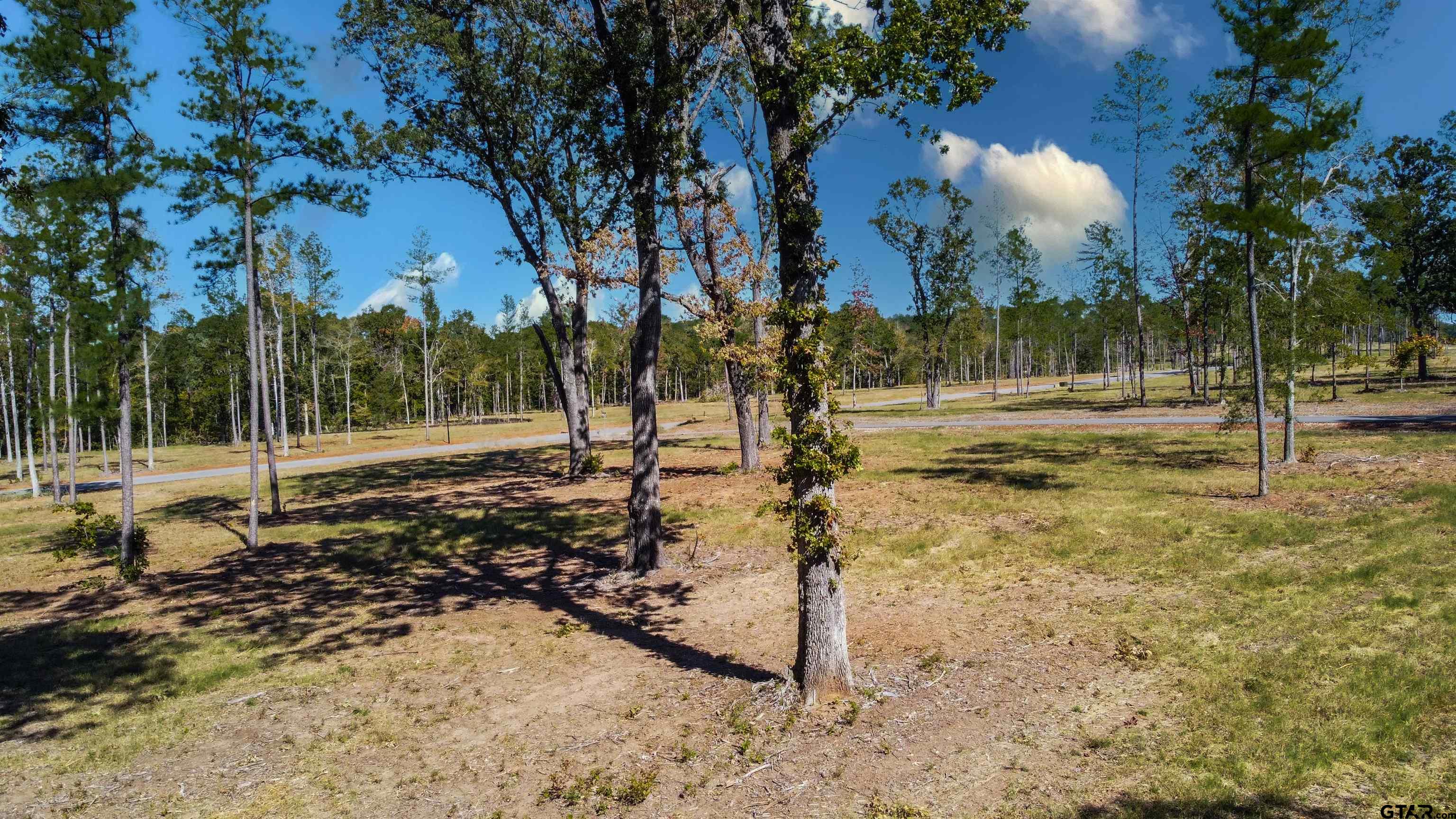 16077 Aniston Ln - (lot 12), Flint, Texas image 2