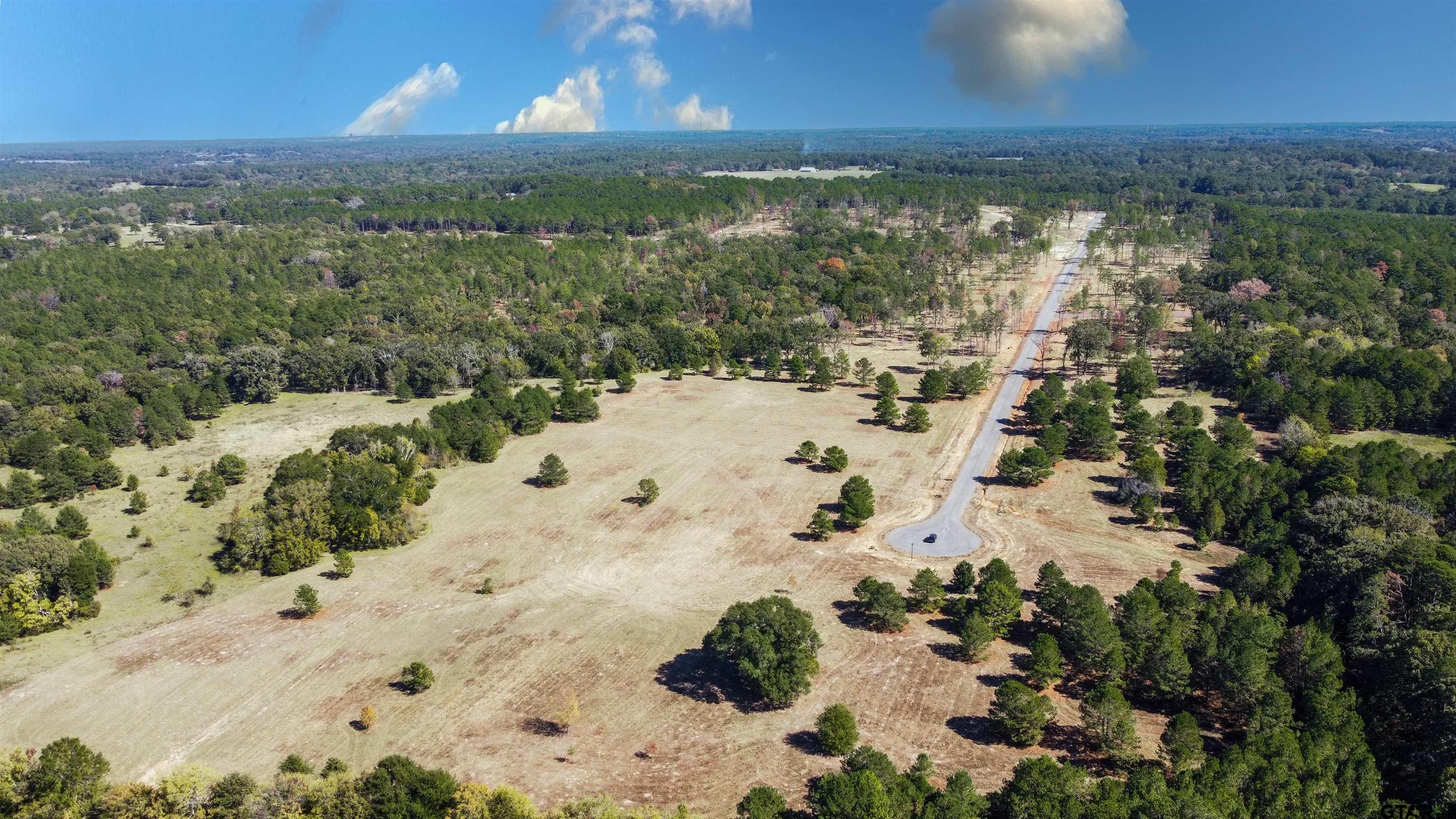 16077 Aniston Ln - (lot 12), Flint, Texas image 11