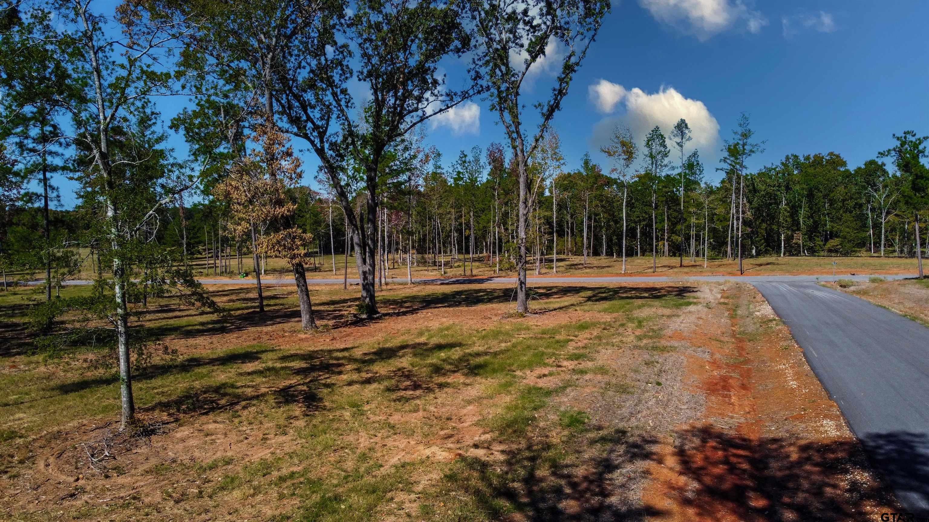 16077 Aniston Ln - (lot 12), Flint, Texas image 12
