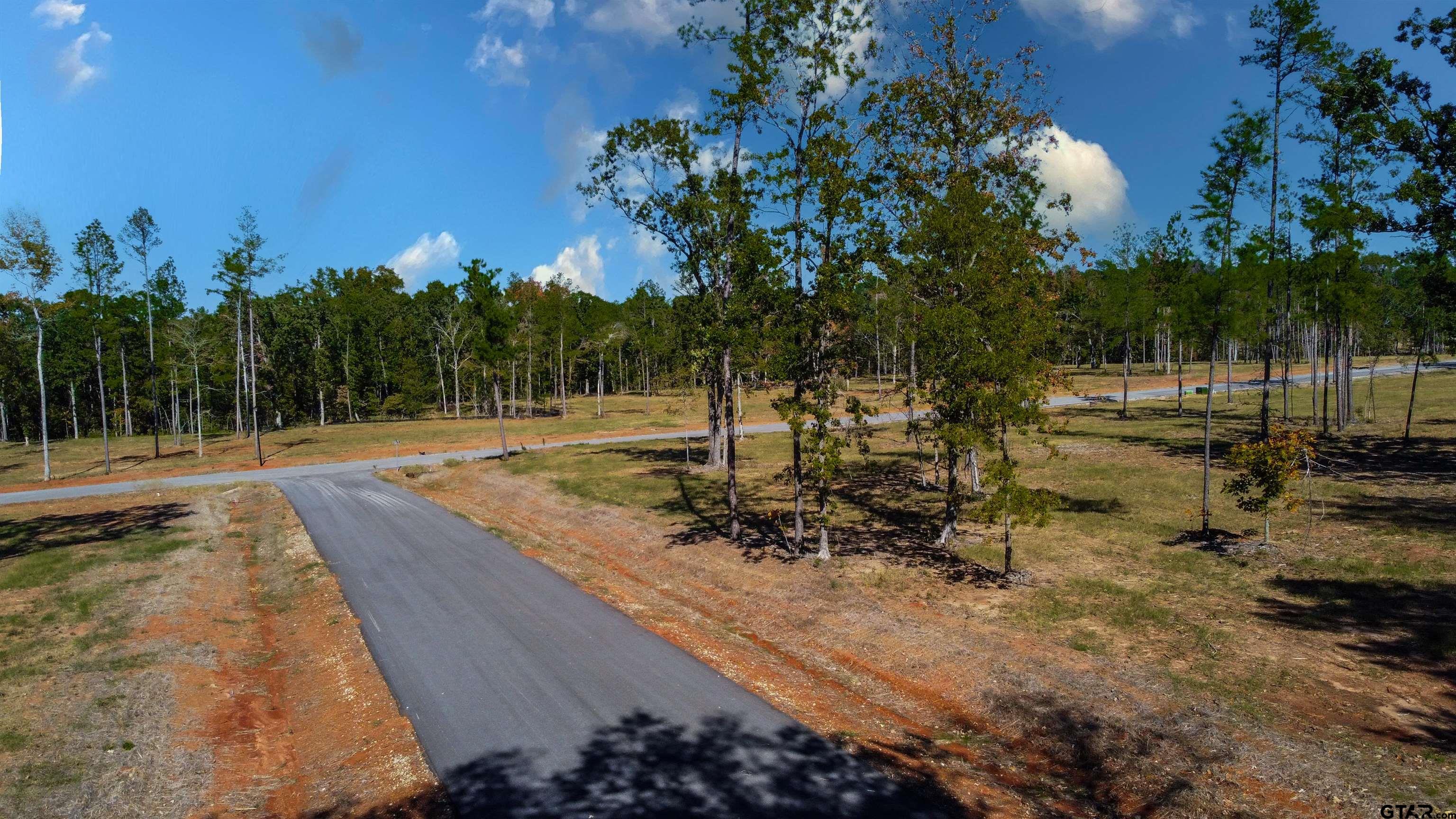 16077 Aniston Ln - (lot 12), Flint, Texas image 13