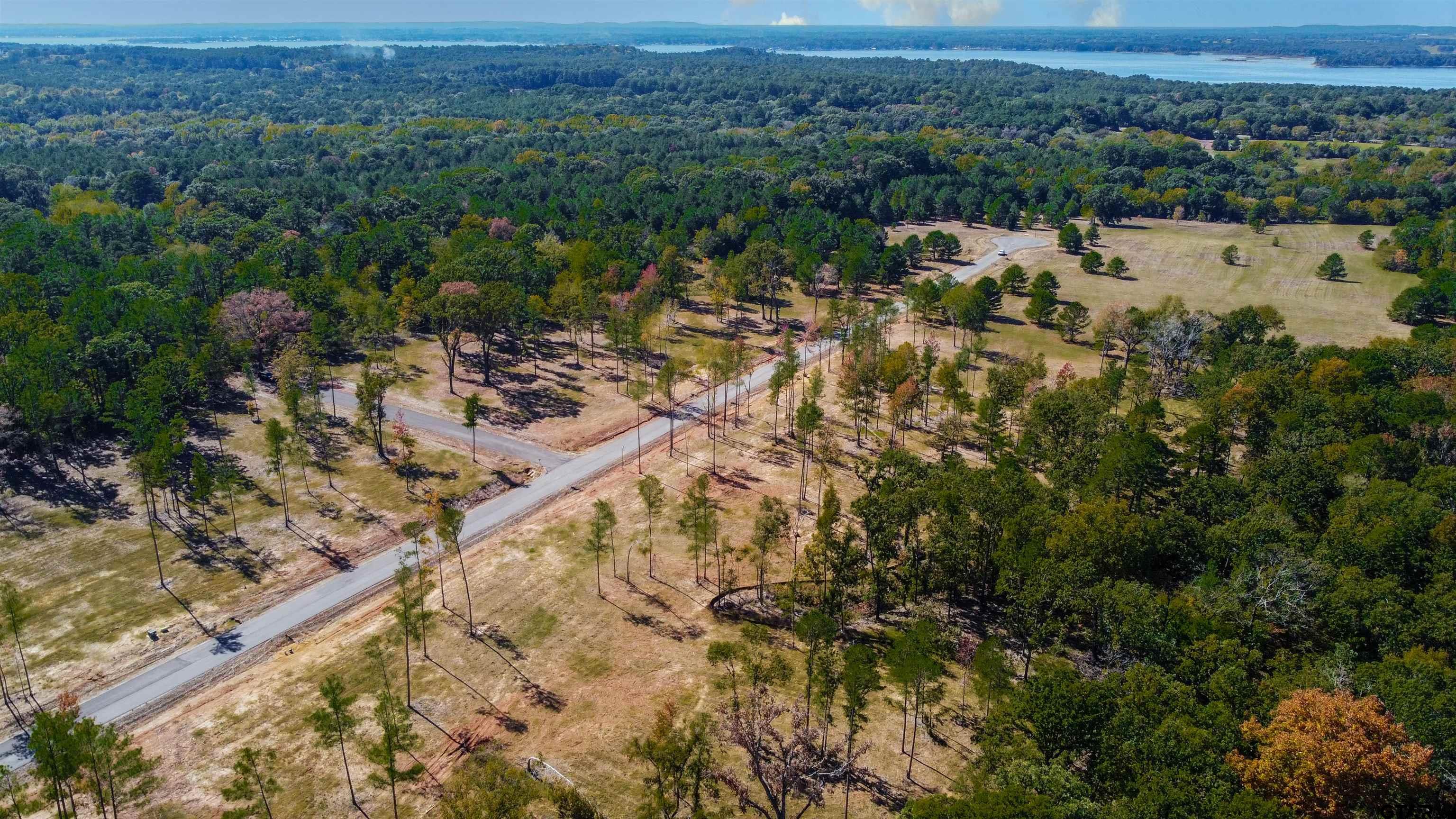 16077 Aniston Ln - (lot 12), Flint, Texas image 17