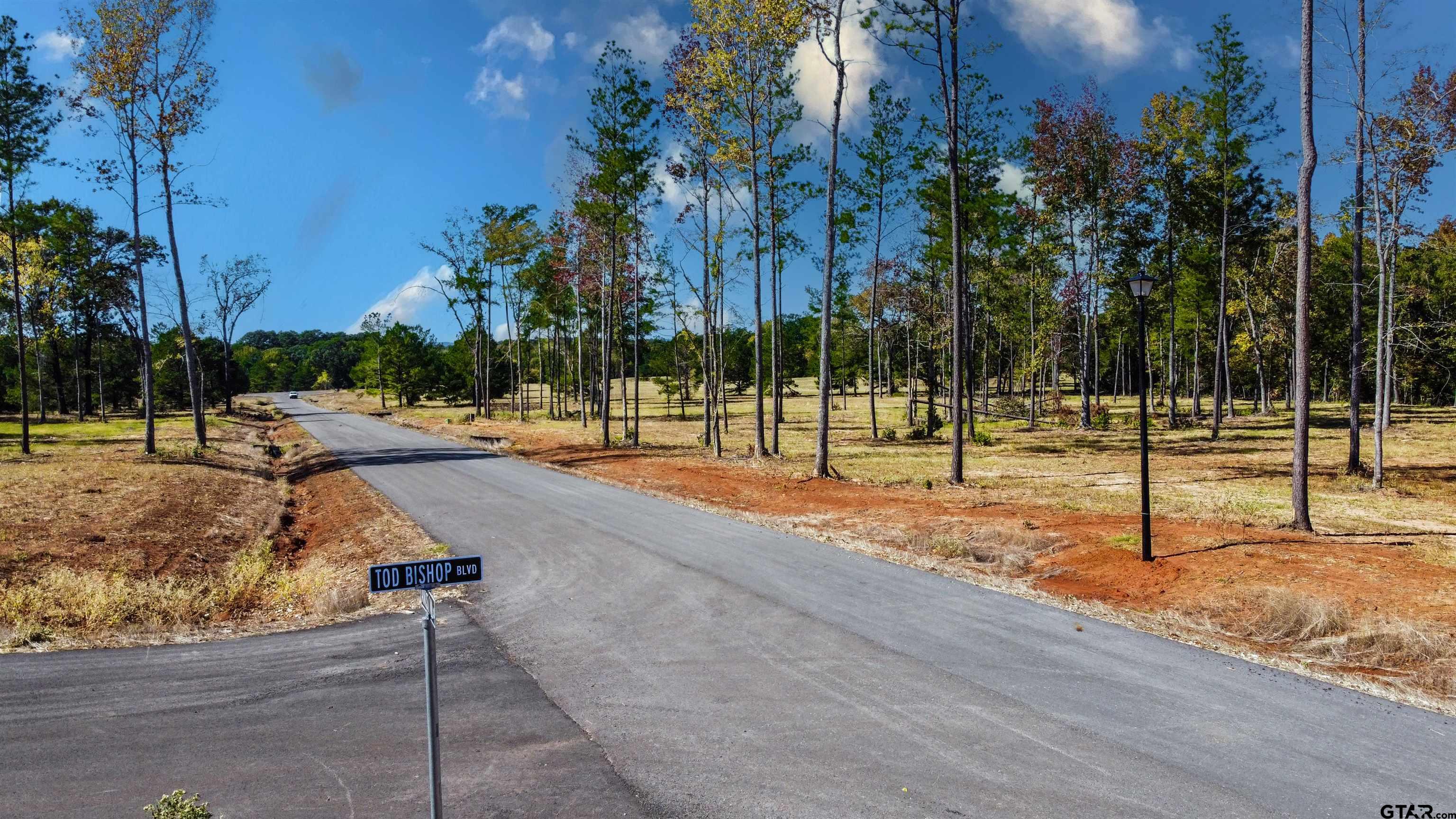16077 Aniston Ln - (lot 12), Flint, Texas image 20