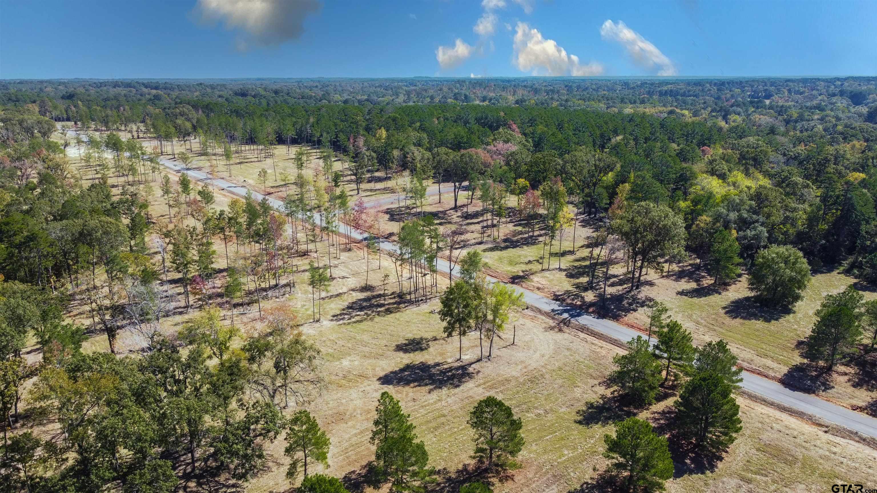 16077 Aniston Ln - (lot 12), Flint, Texas image 21
