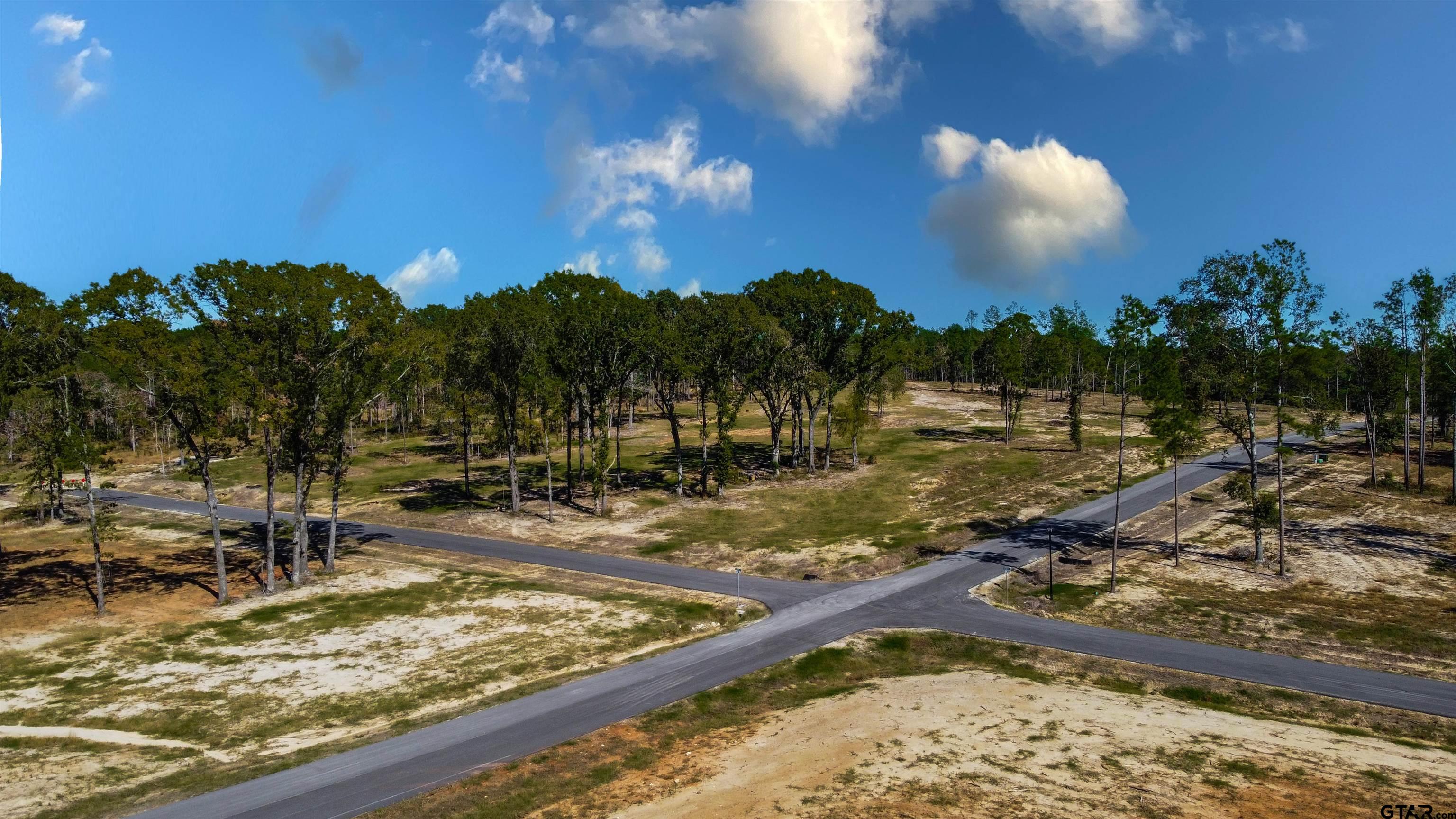 16077 Aniston Ln - (lot 12), Flint, Texas image 22