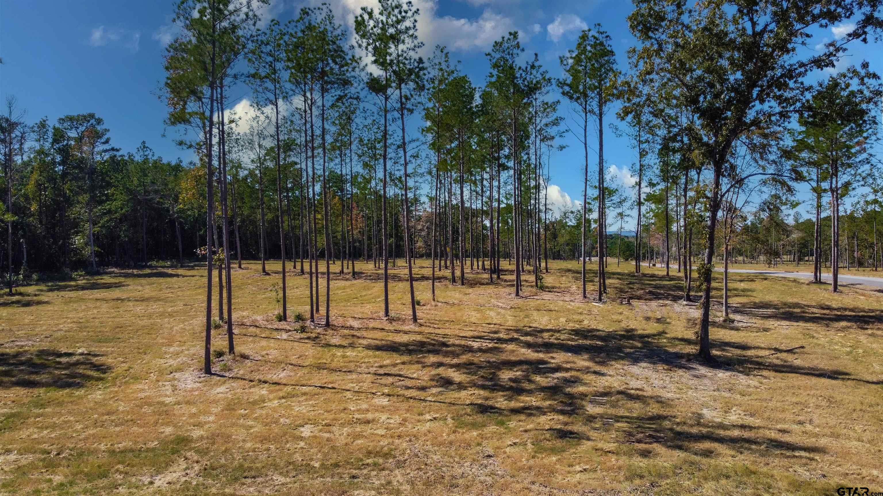 16077 Aniston Ln - (lot 12), Flint, Texas image 23