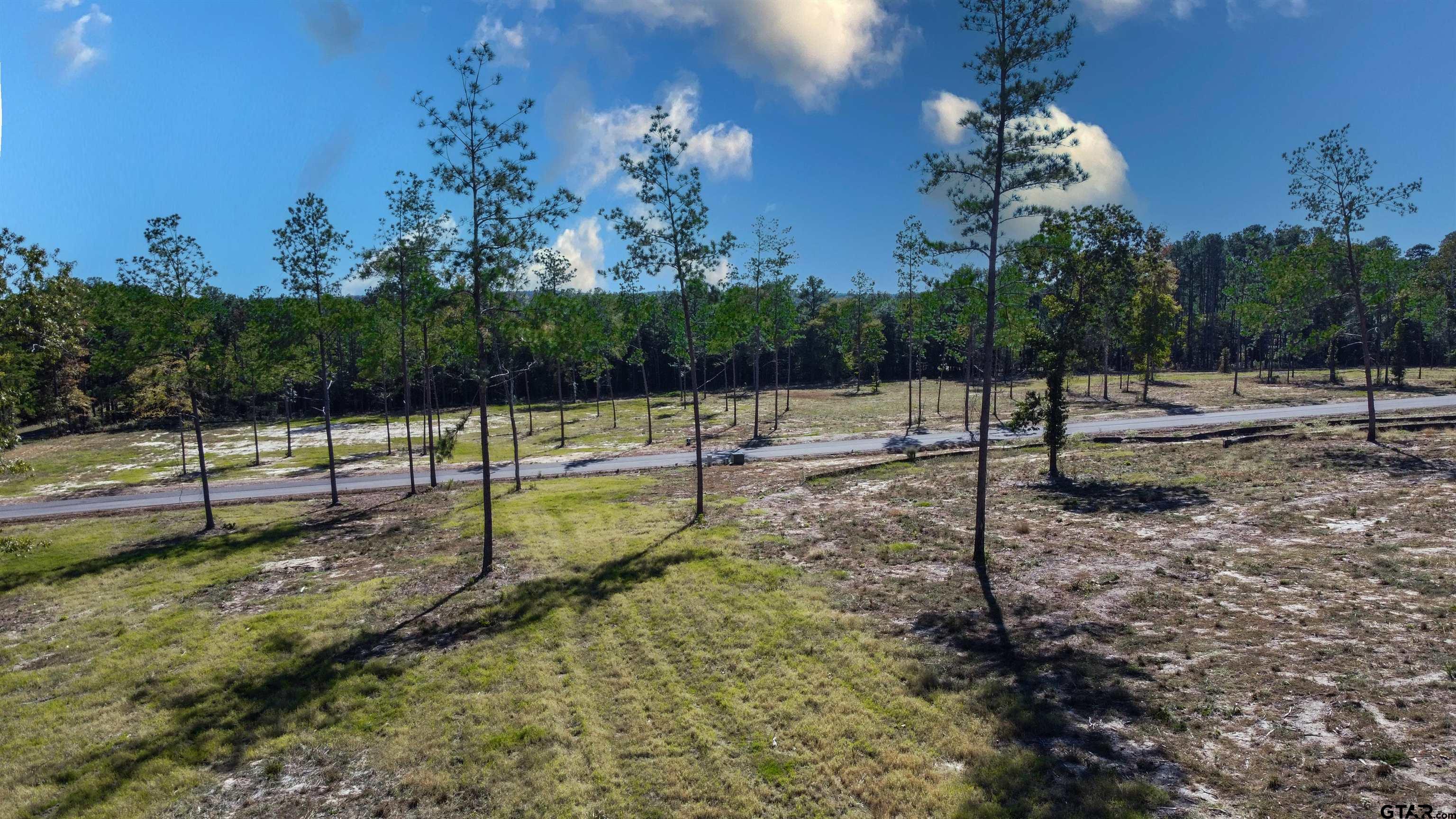 16077 Aniston Ln - (lot 12), Flint, Texas image 25