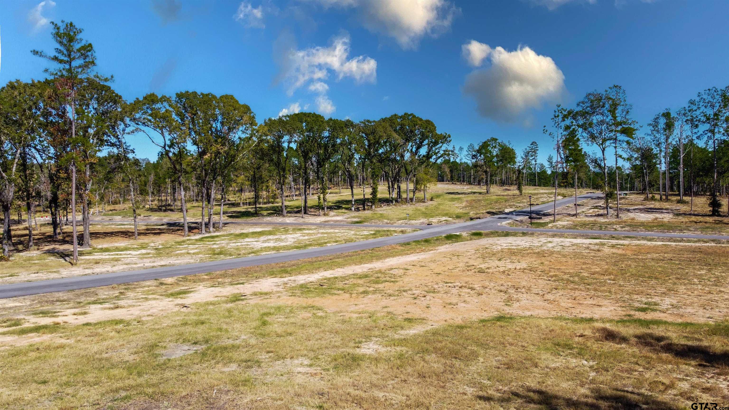 16077 Aniston Ln - (lot 12), Flint, Texas image 26