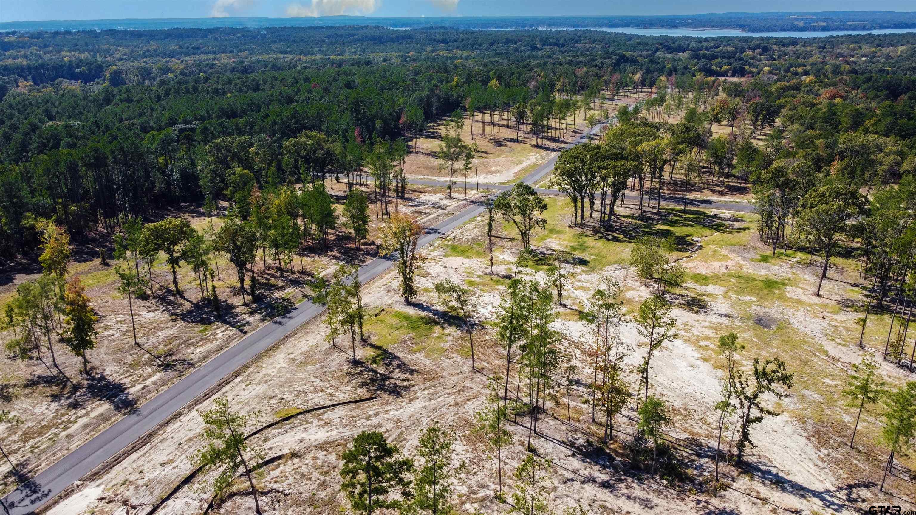 16077 Aniston Ln - (lot 12), Flint, Texas image 27