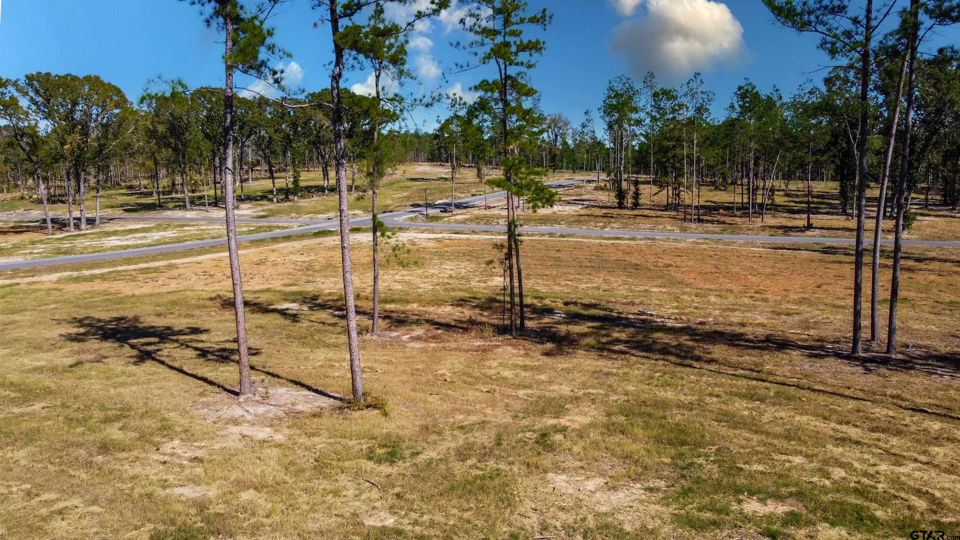 16077 Aniston Ln - (lot 12), Flint, Texas image 28