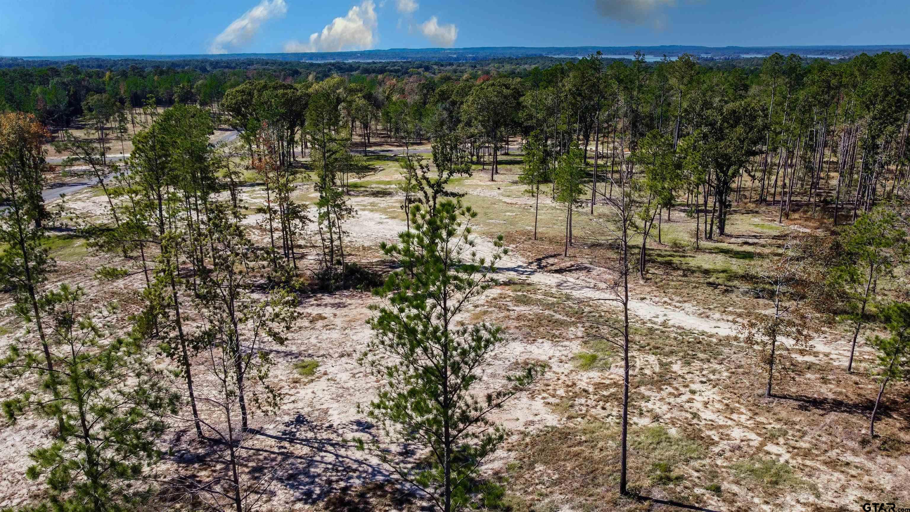 16077 Aniston Ln - (lot 12), Flint, Texas image 29