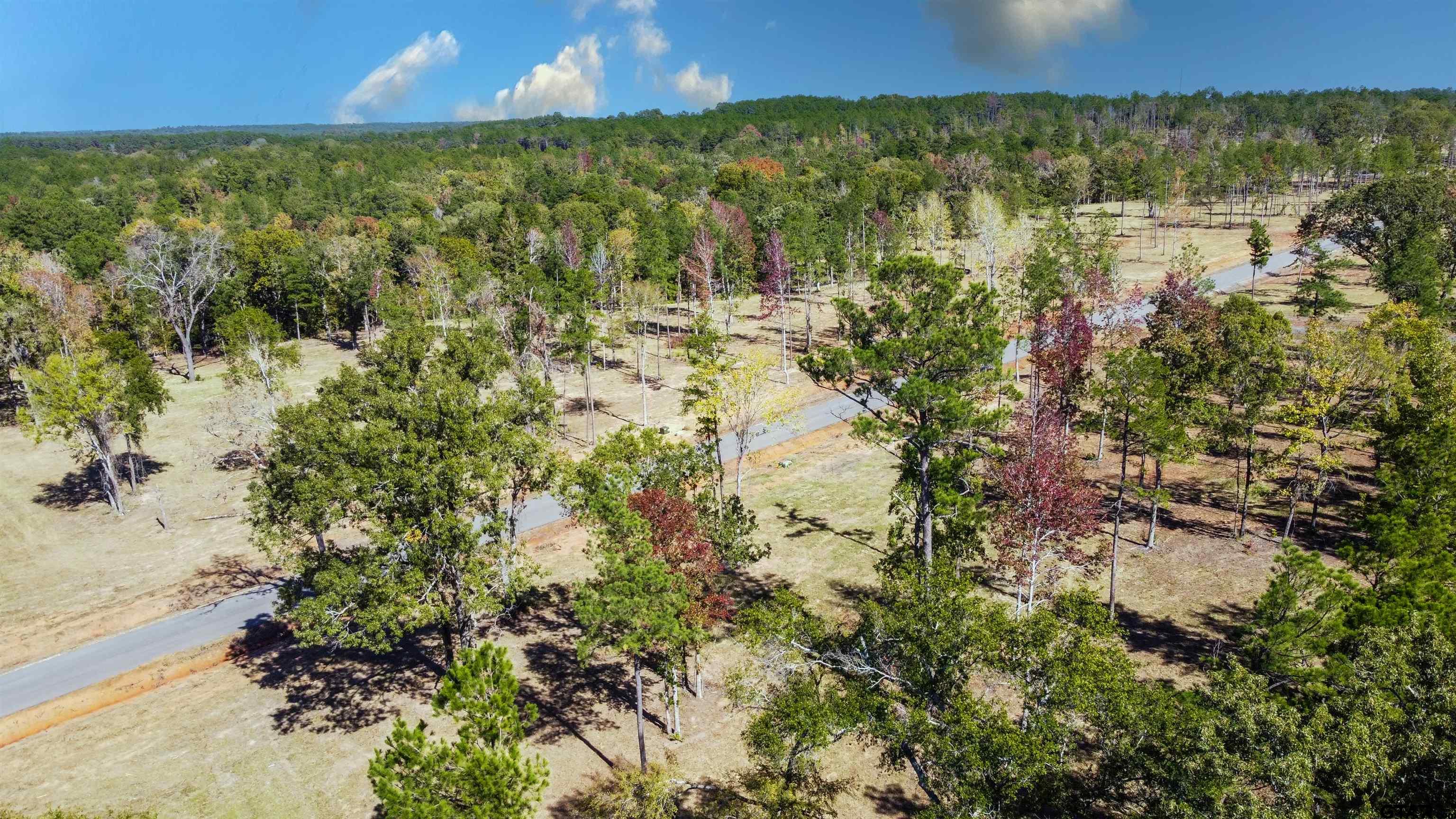 16077 Aniston Ln - (lot 12), Flint, Texas image 4