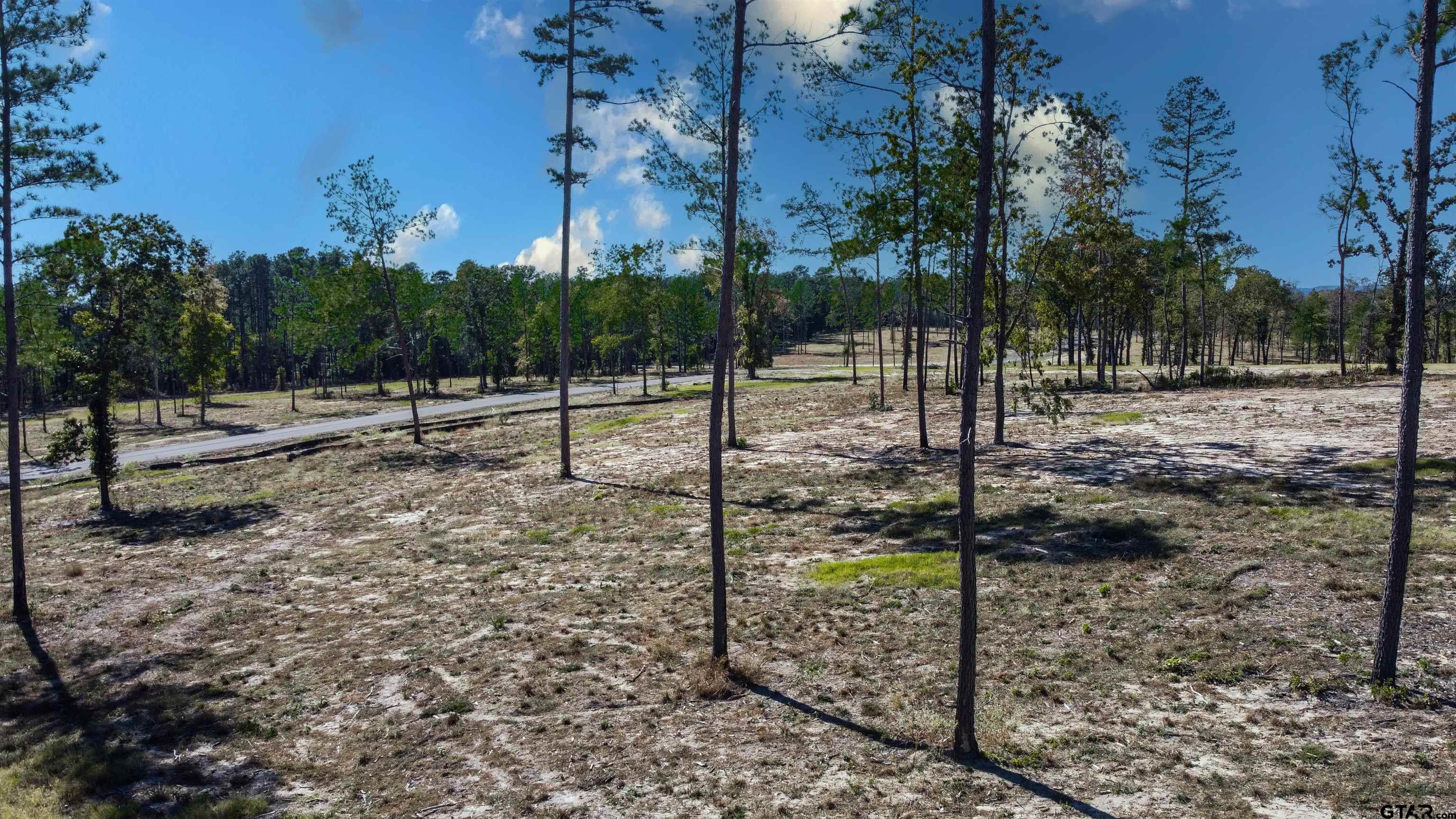 16077 Aniston Ln - (lot 12), Flint, Texas image 33