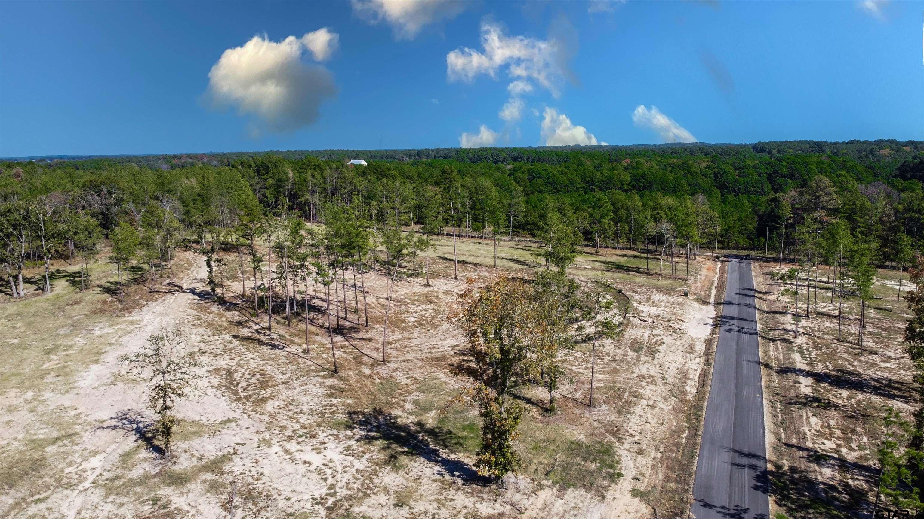 16077 Aniston Ln - (lot 12), Flint, Texas image 36
