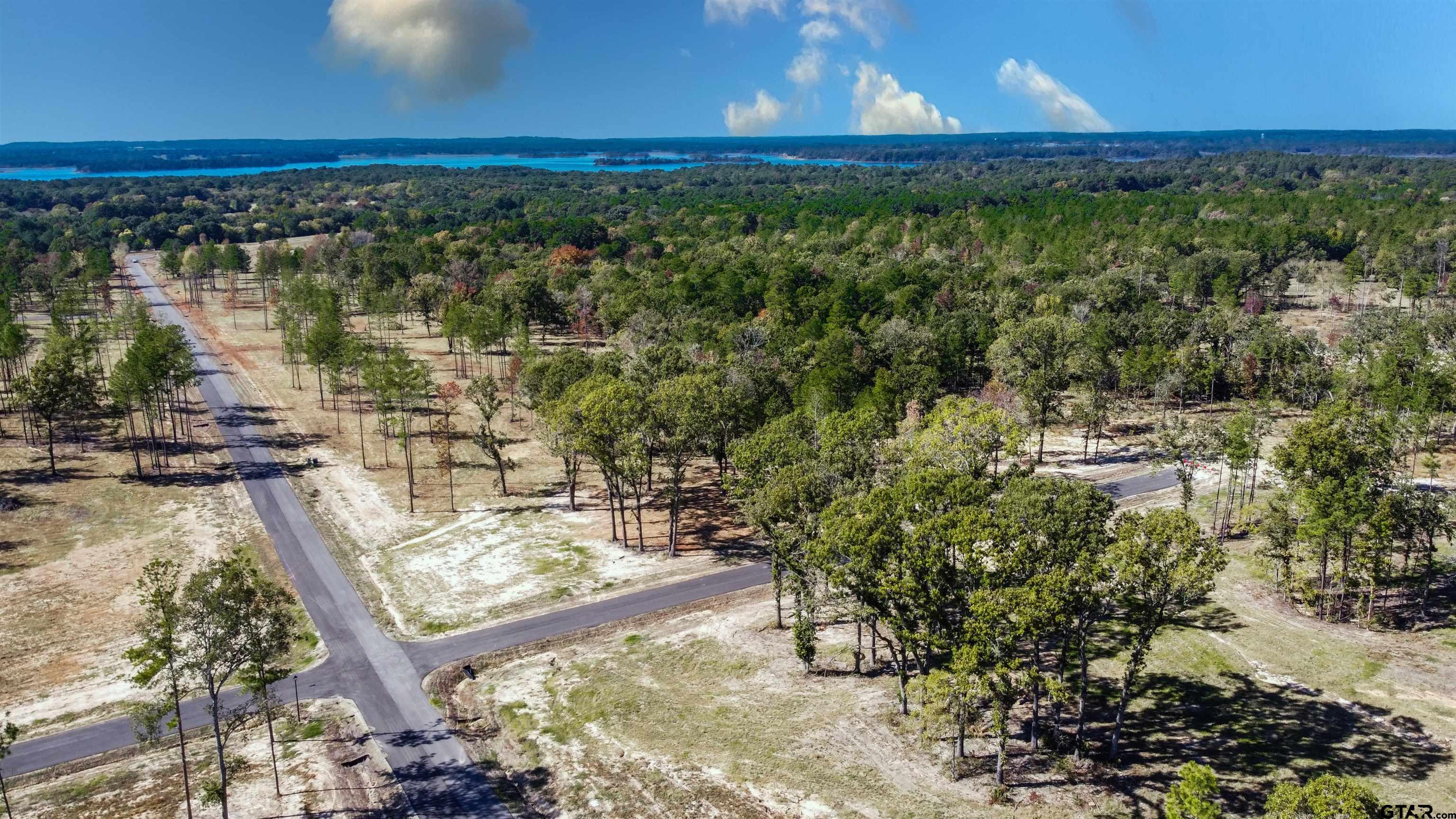 16077 Aniston Ln - (lot 12), Flint, Texas image 37