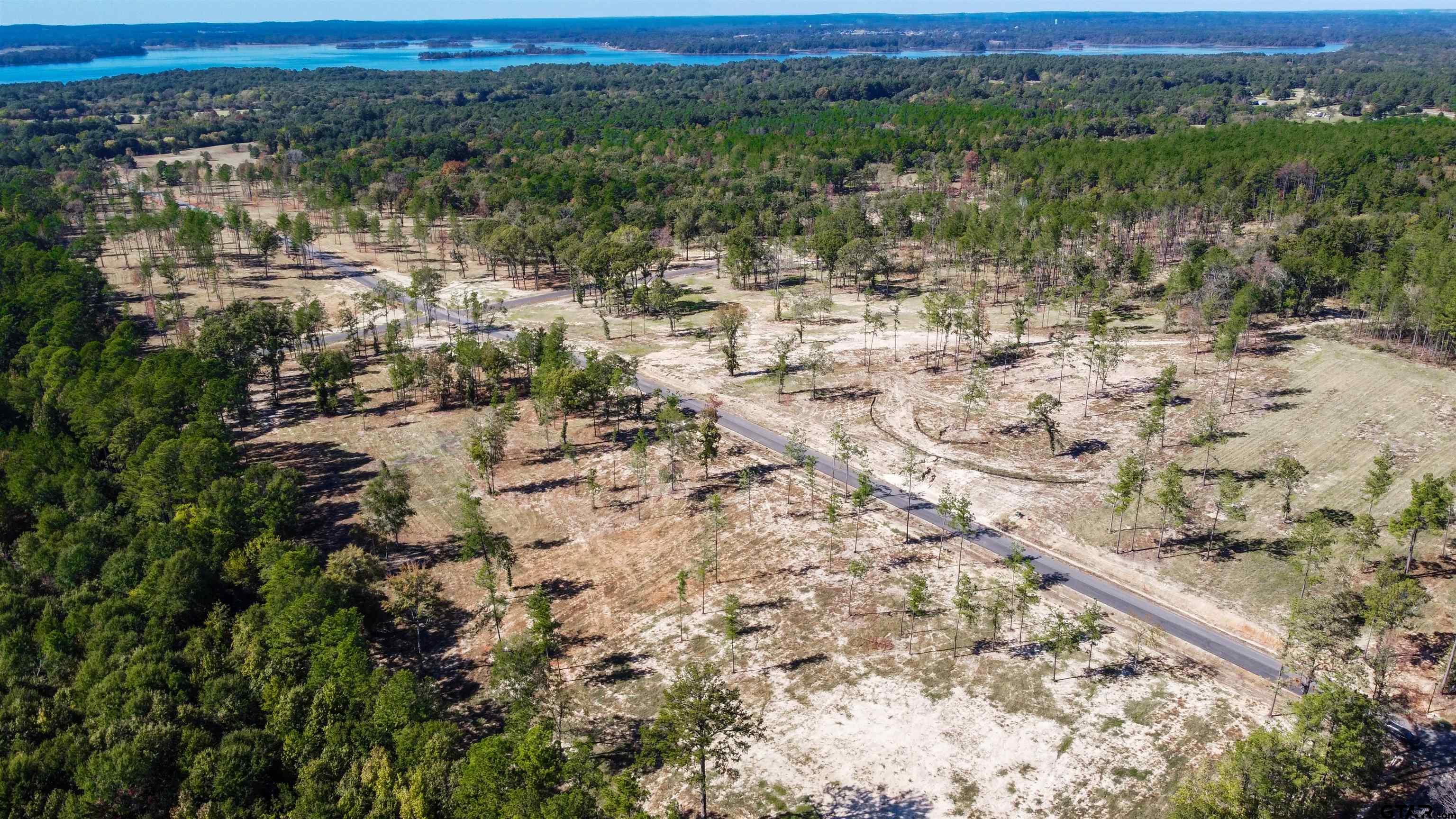 16077 Aniston Ln - (lot 12), Flint, Texas image 38